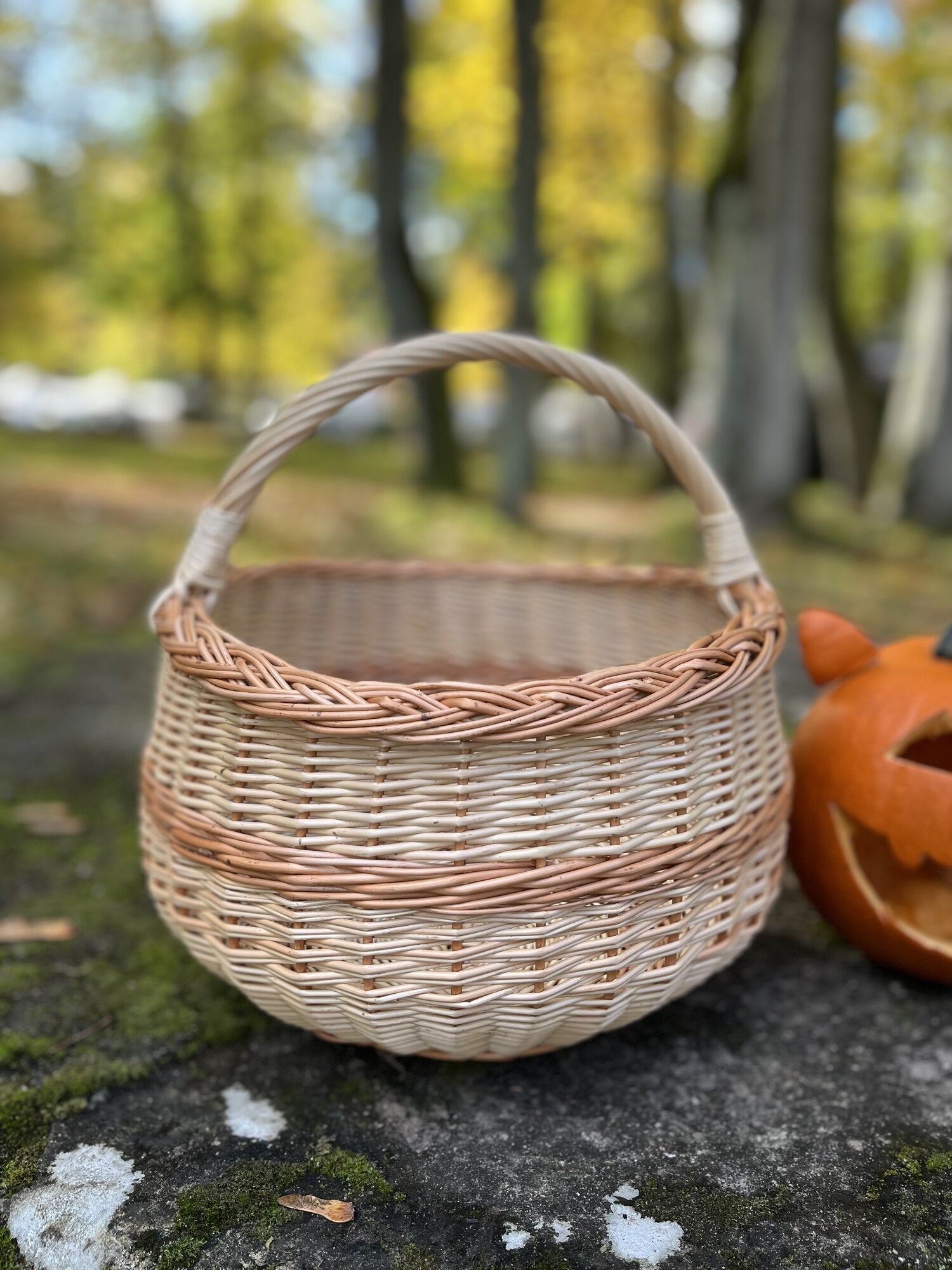 Wicker basket 006b