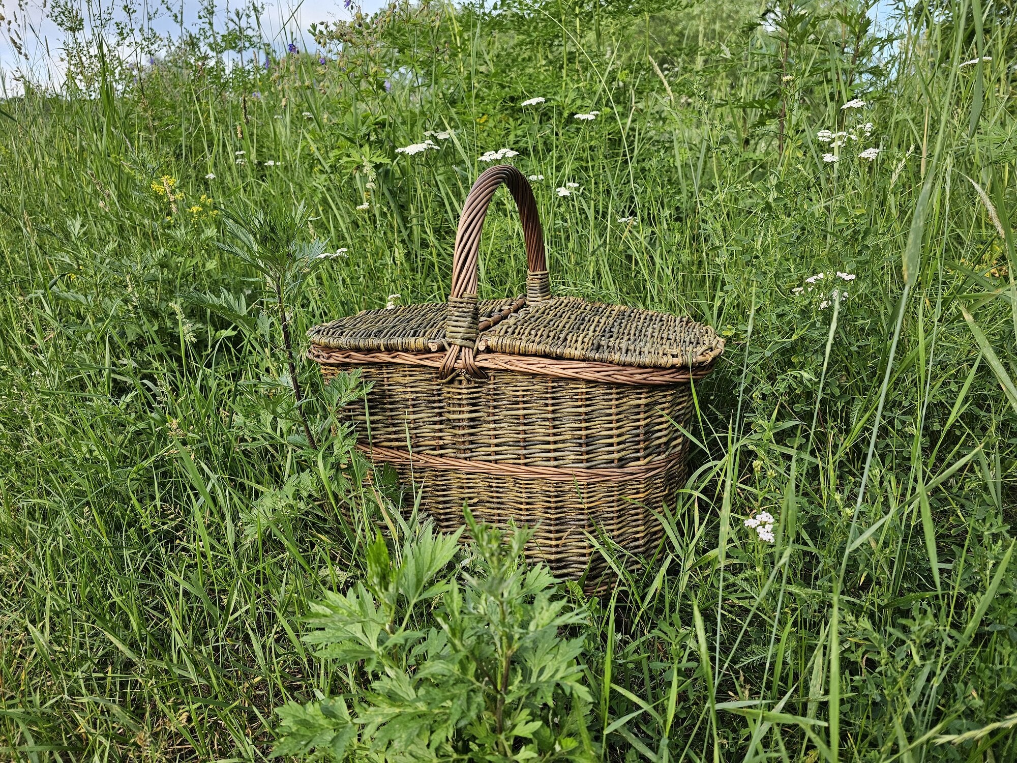 Picnic basket 011b
