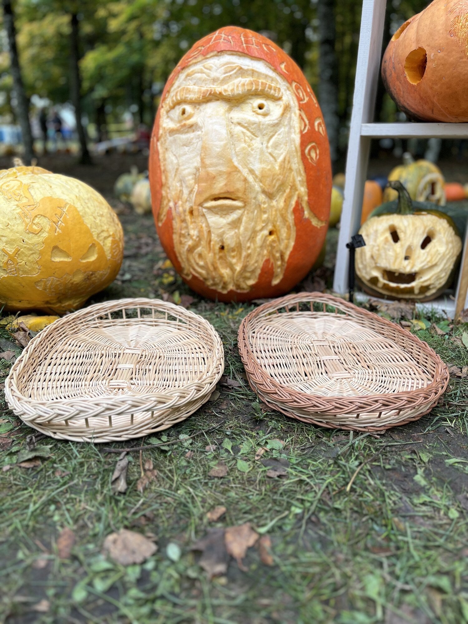 Wicker Tray 019b
