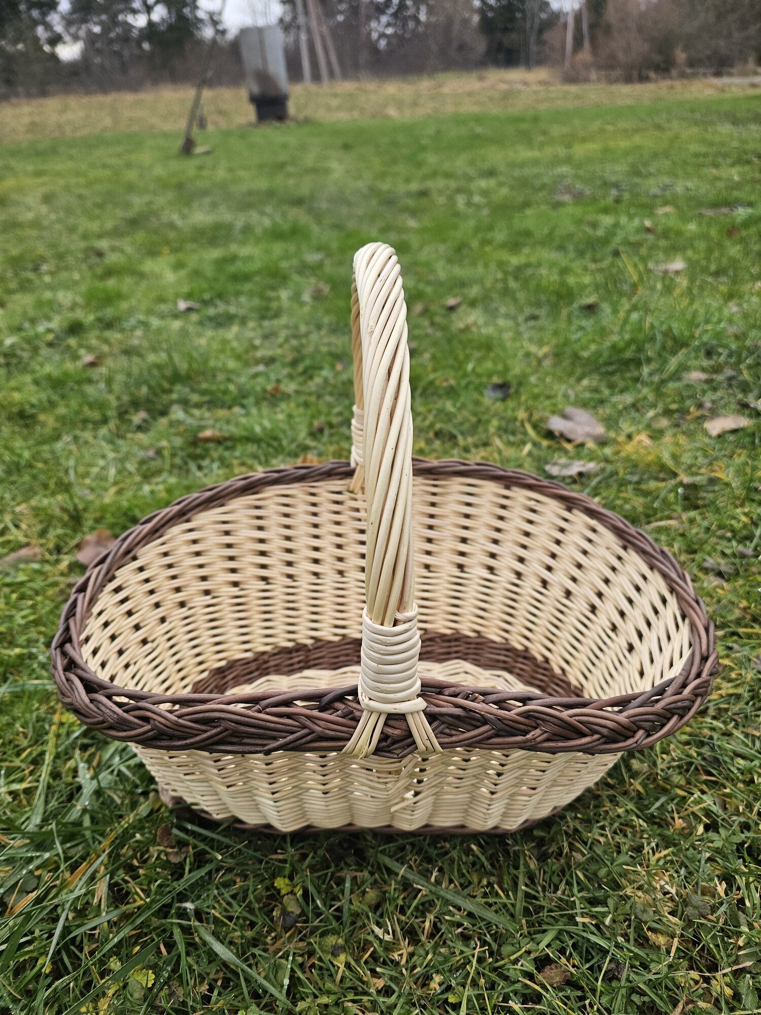 Wicker basket 020b