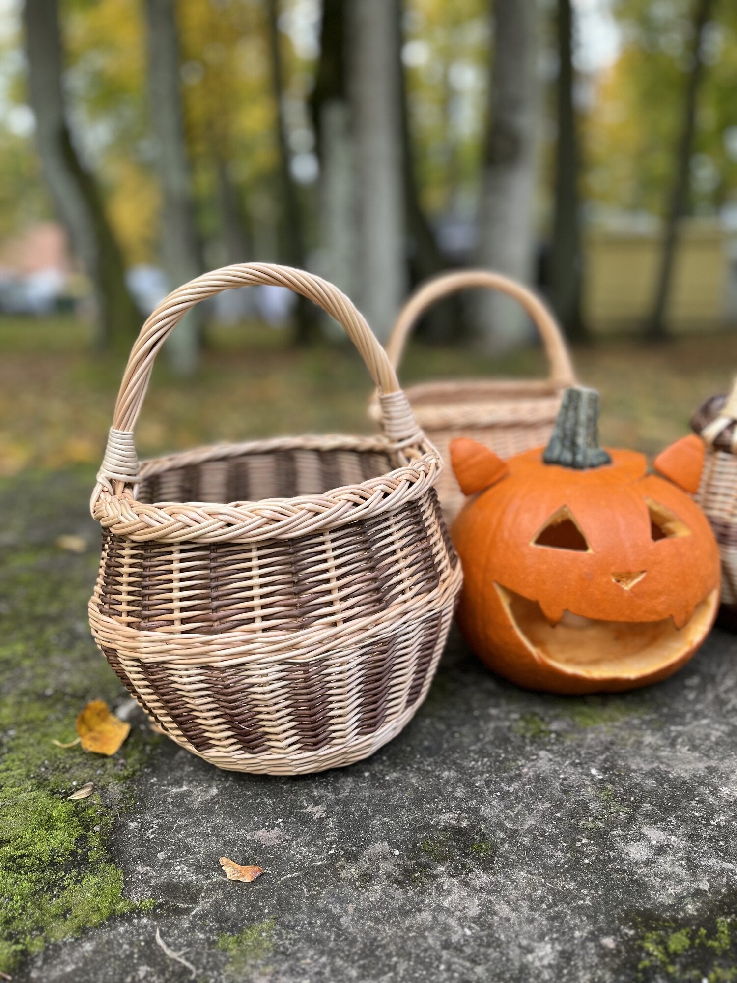 Small wicker basket 021b
