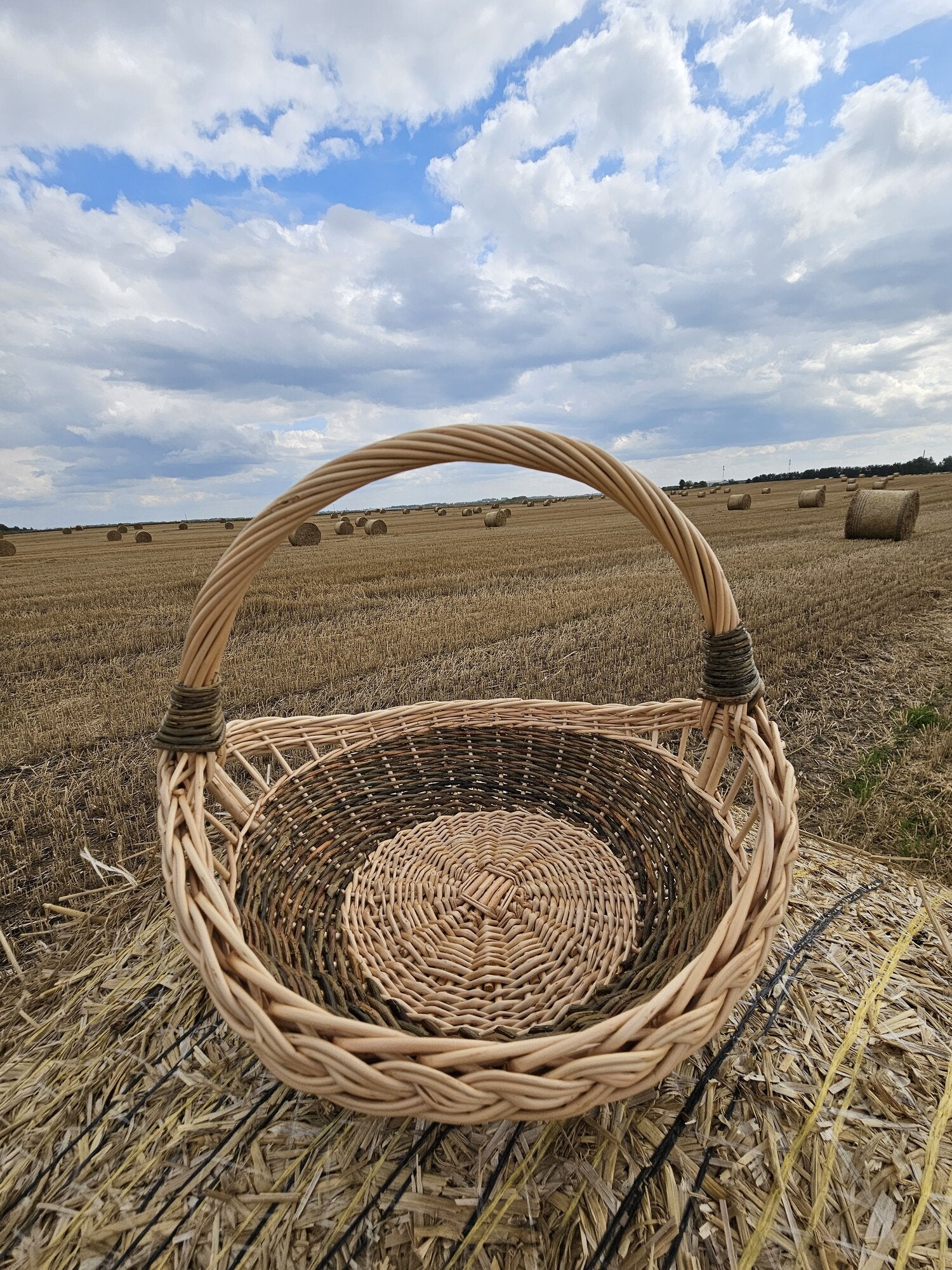 Wicker tray 024b