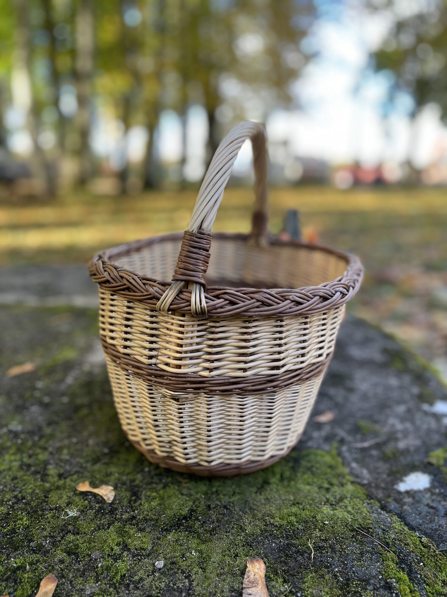 Wicker basket 026b
