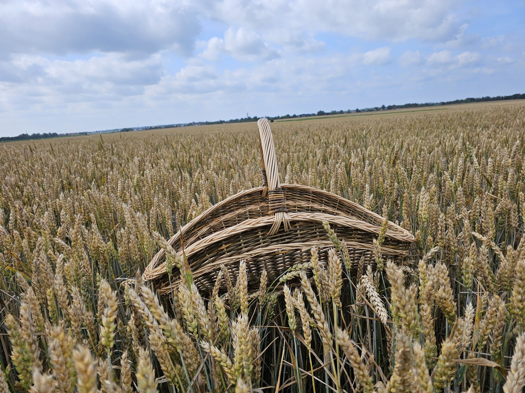 Large wicker basket 027b-1