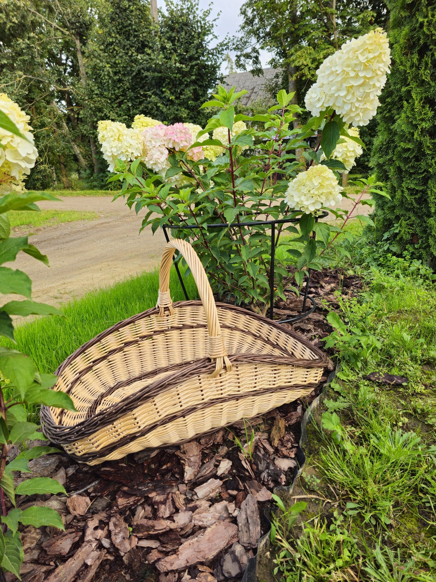 Large Wicker Trug 027b-2