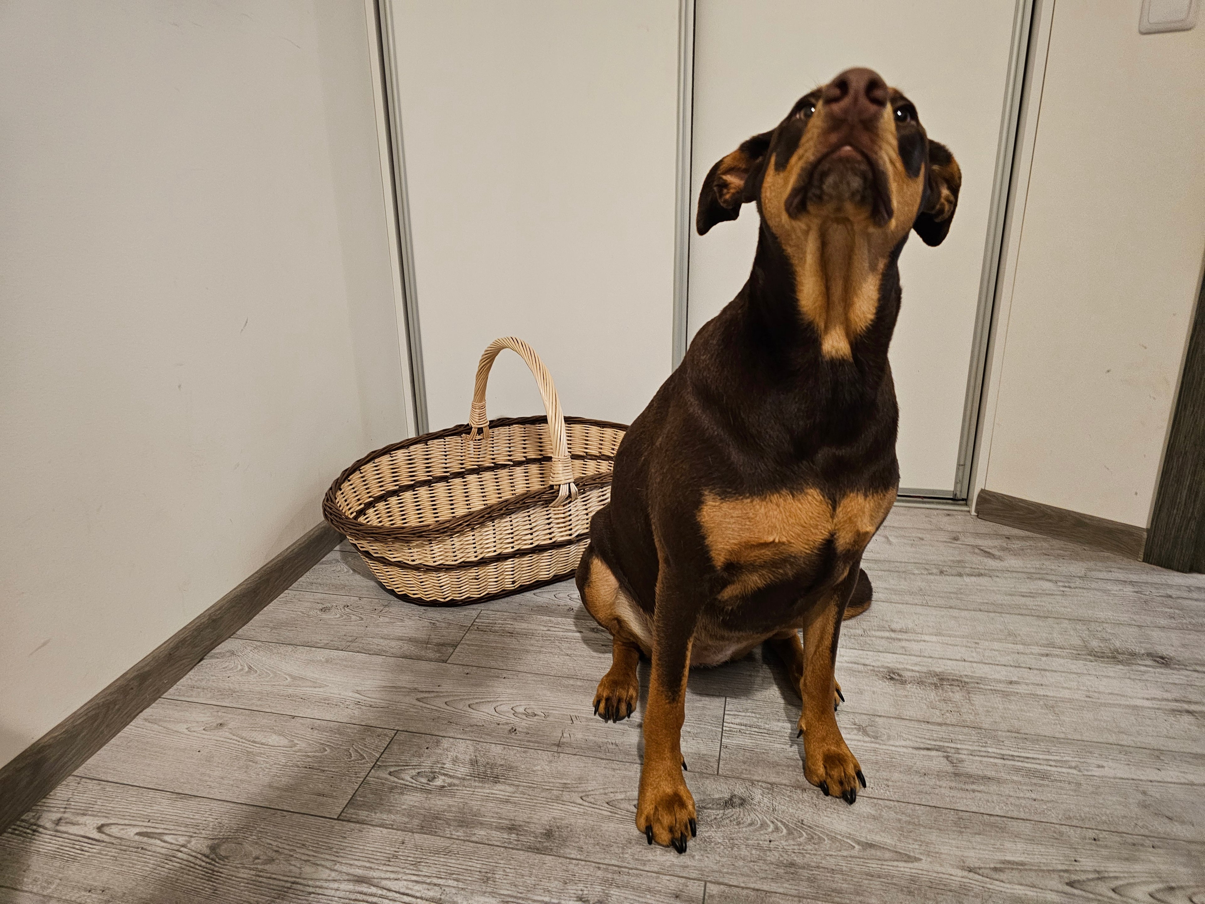 Large wicker basket 004b
