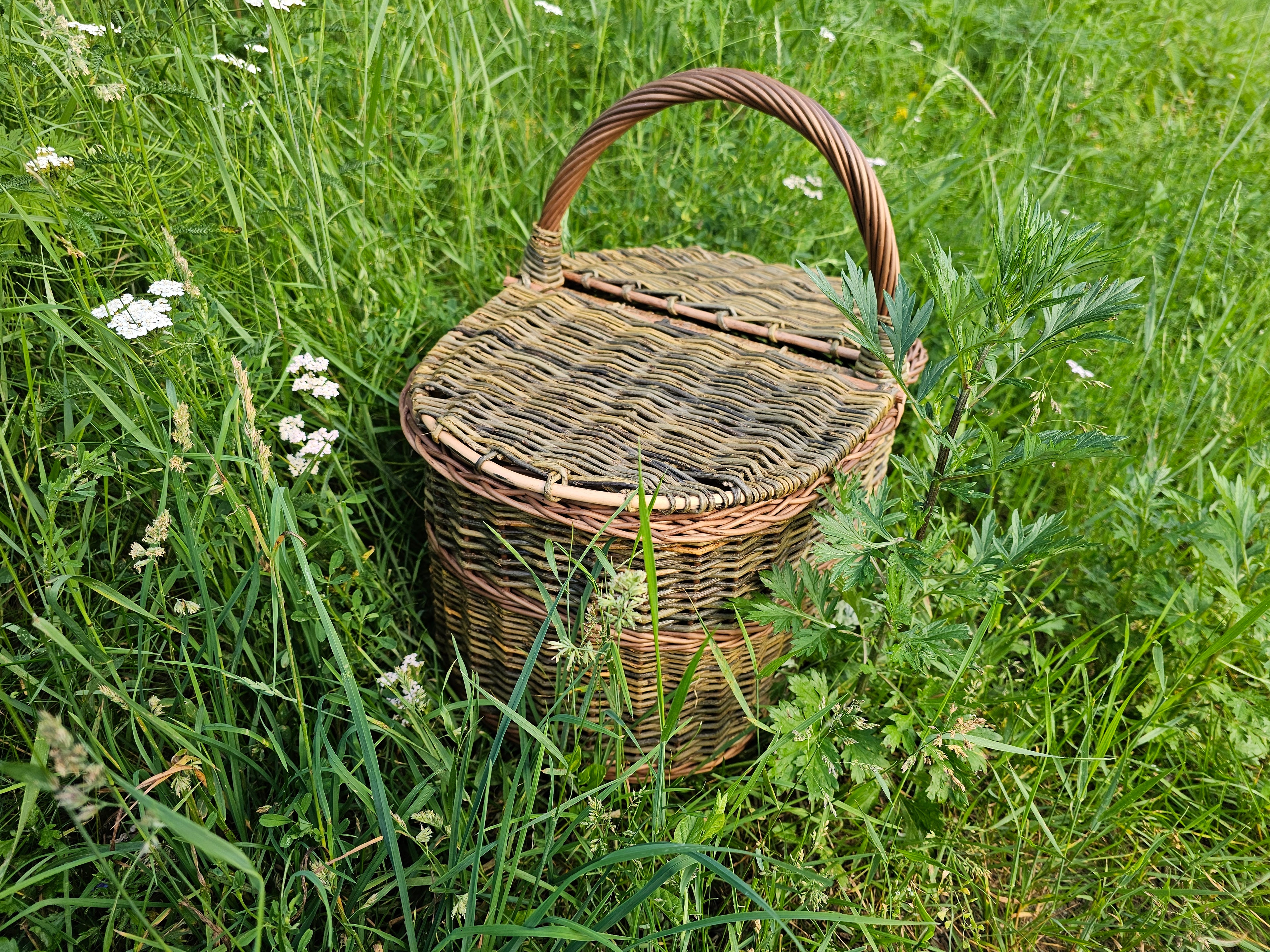 Dark picnic basket 011b