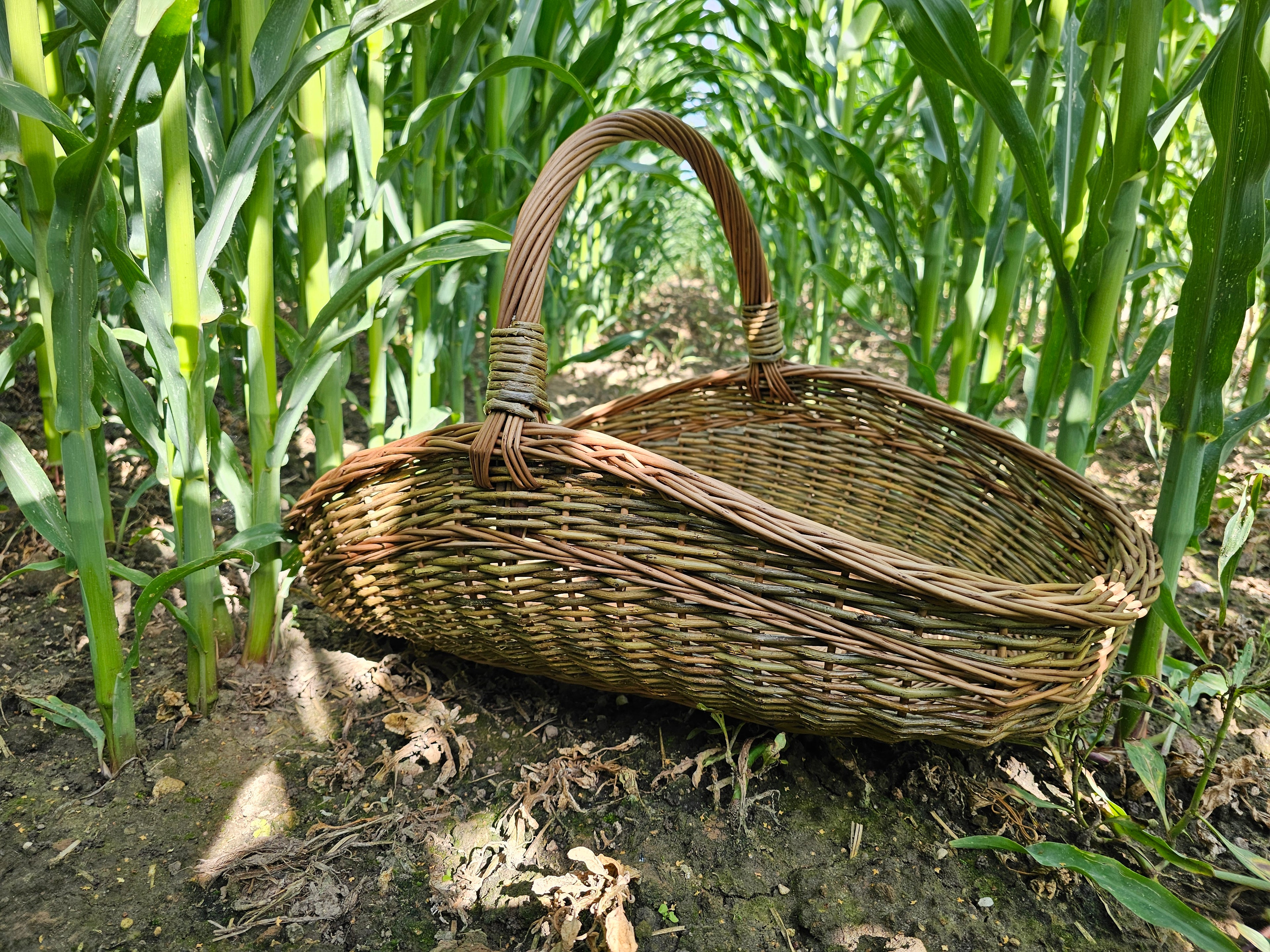 Large Unpeeled Willow Trug 027b-5