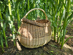 Wicker basket 015r