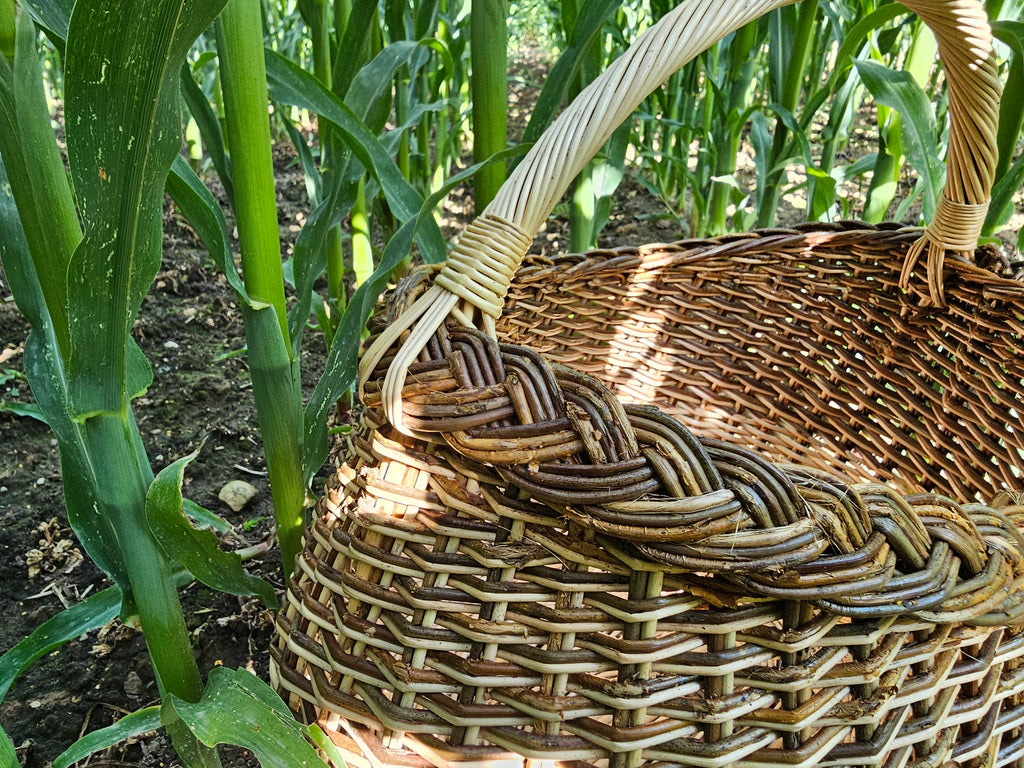 Wicker basket 015r