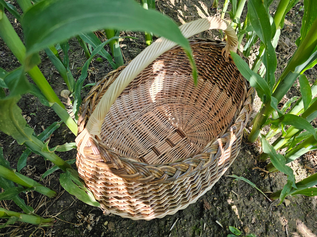 Wicker basket 015r