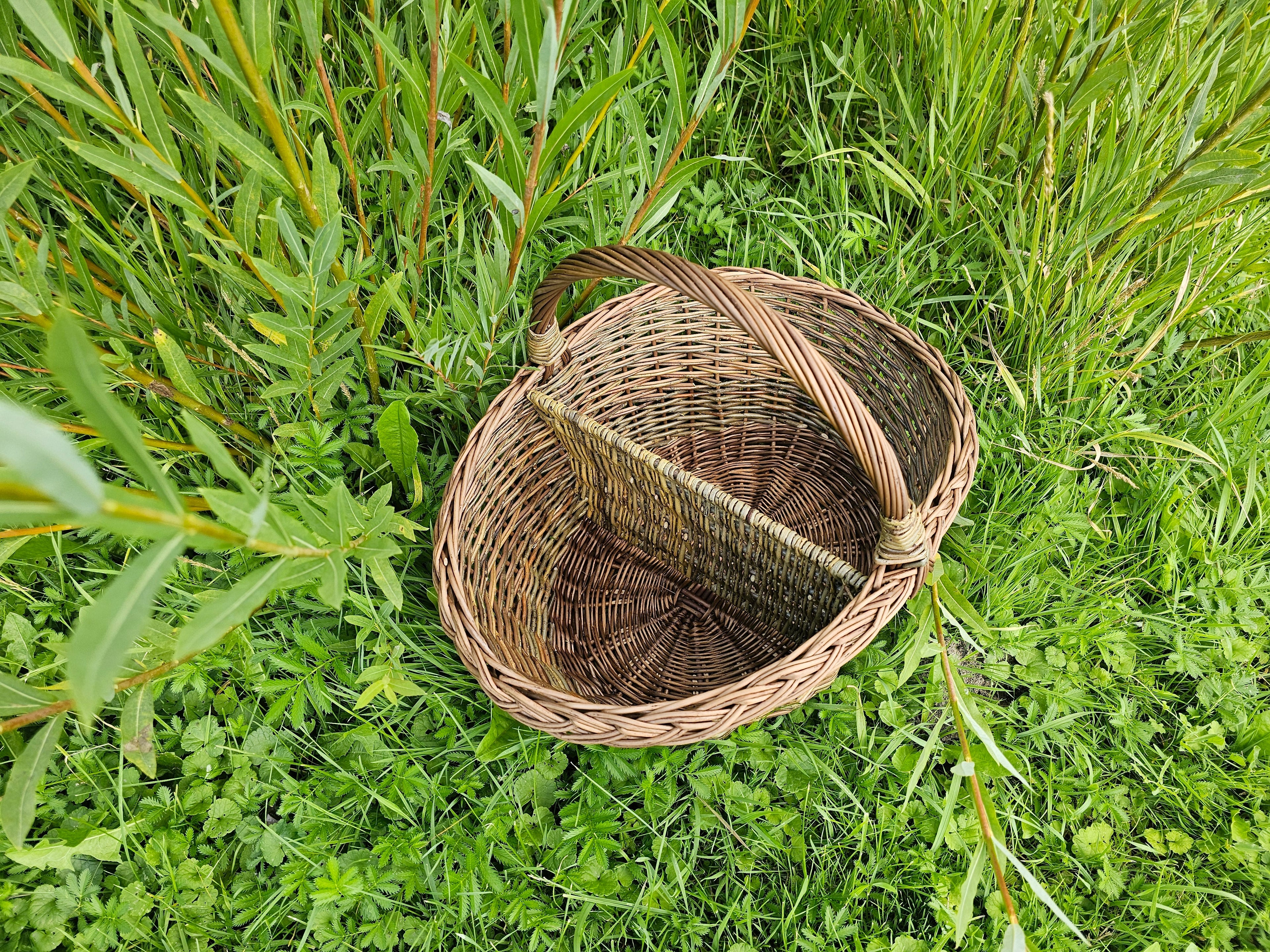 Wicker Picnic Basket with Divider — seen from above
