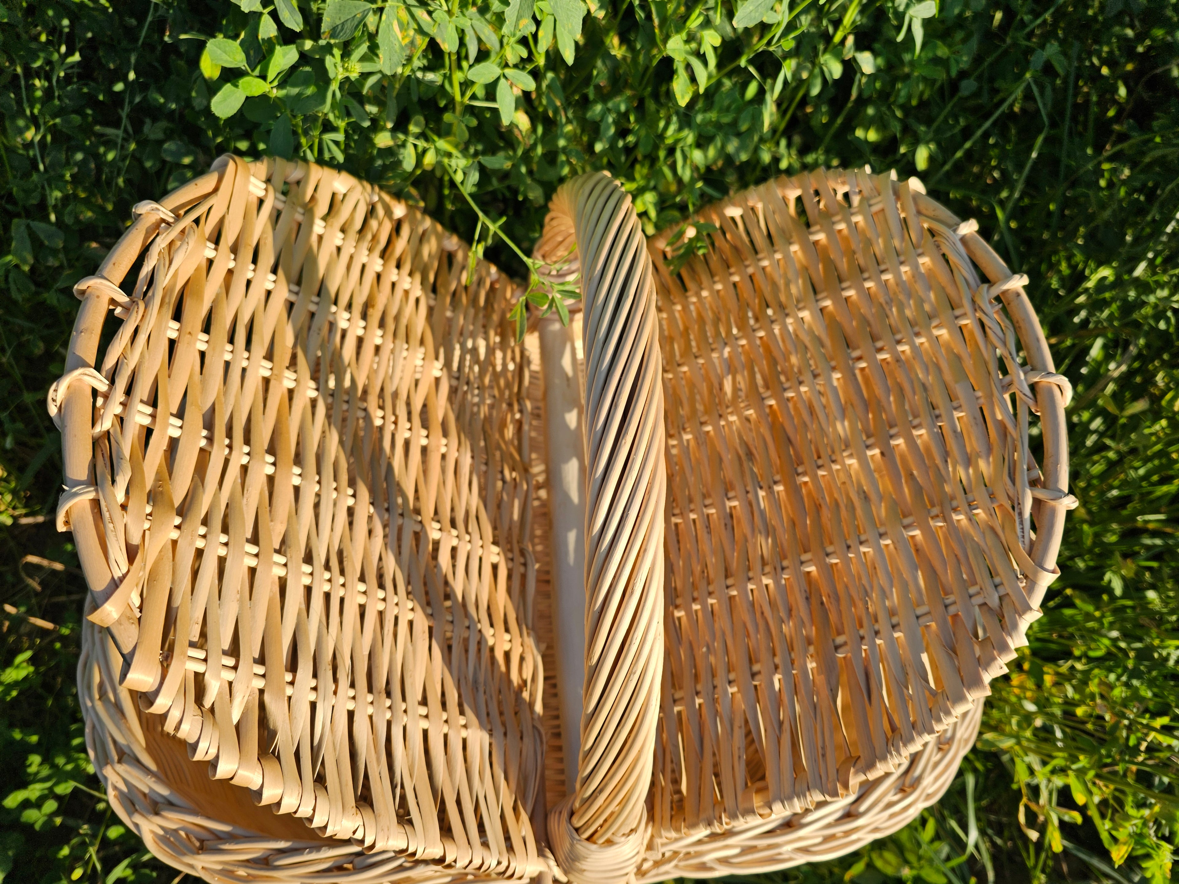 Picnic basket 011b