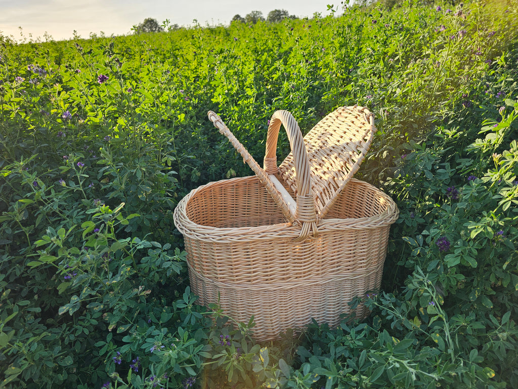 Picnic basket 011b