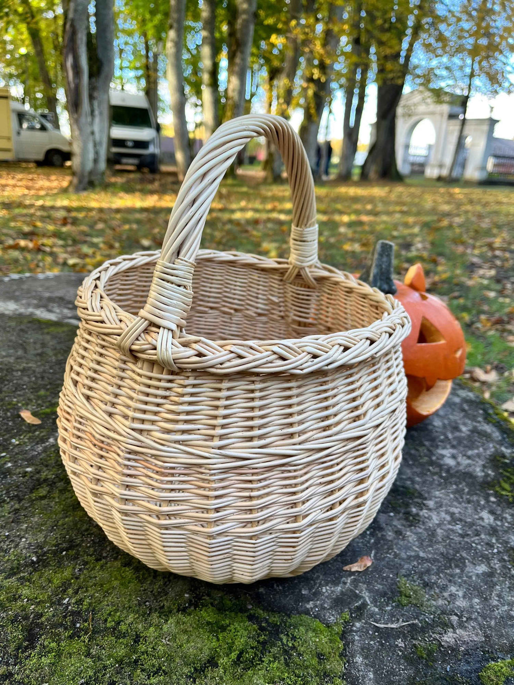 Deep Willow Berry Basket — handle and rim detail
