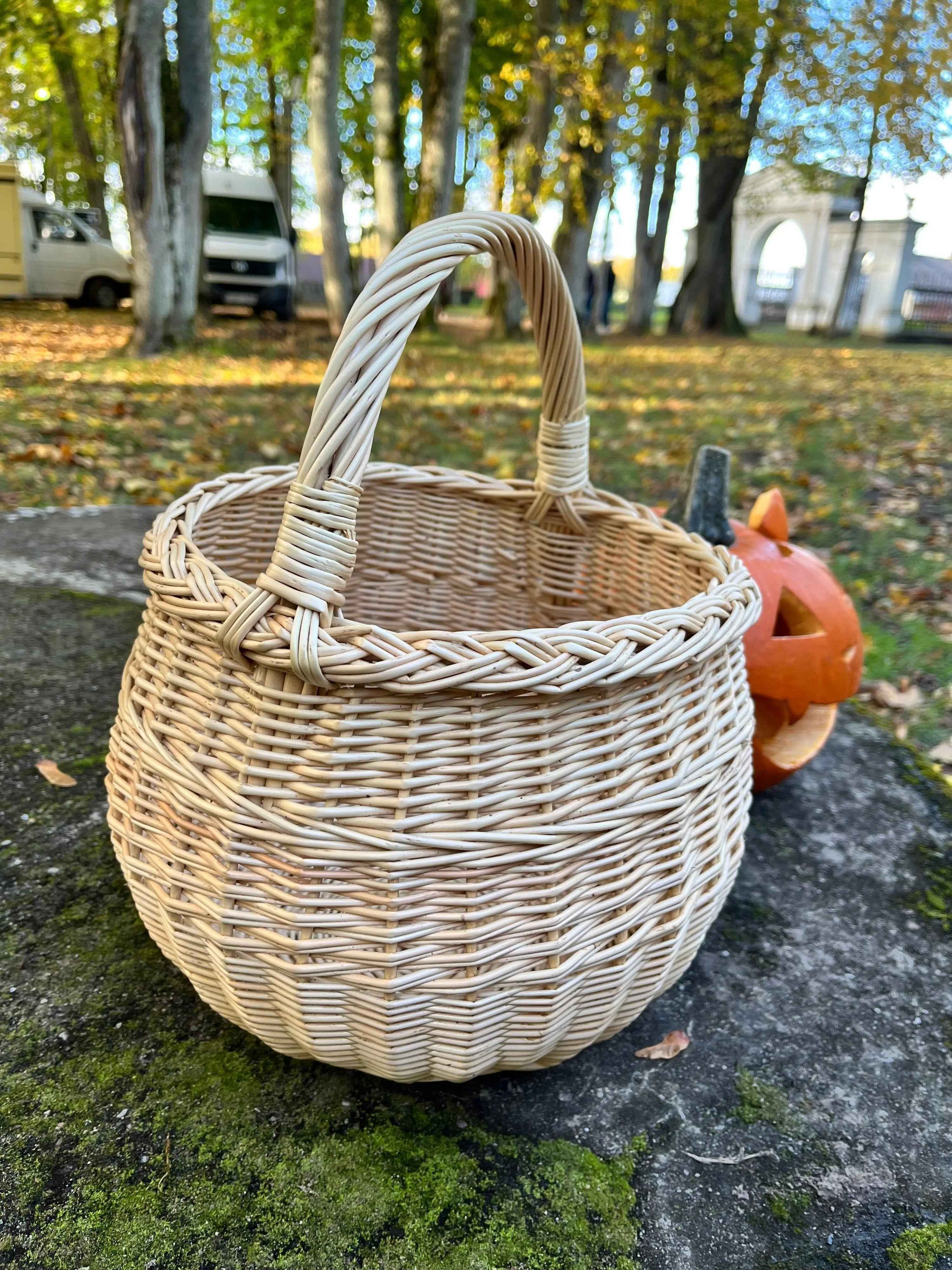 Deep Willow Berry Basket — handle and rim detail