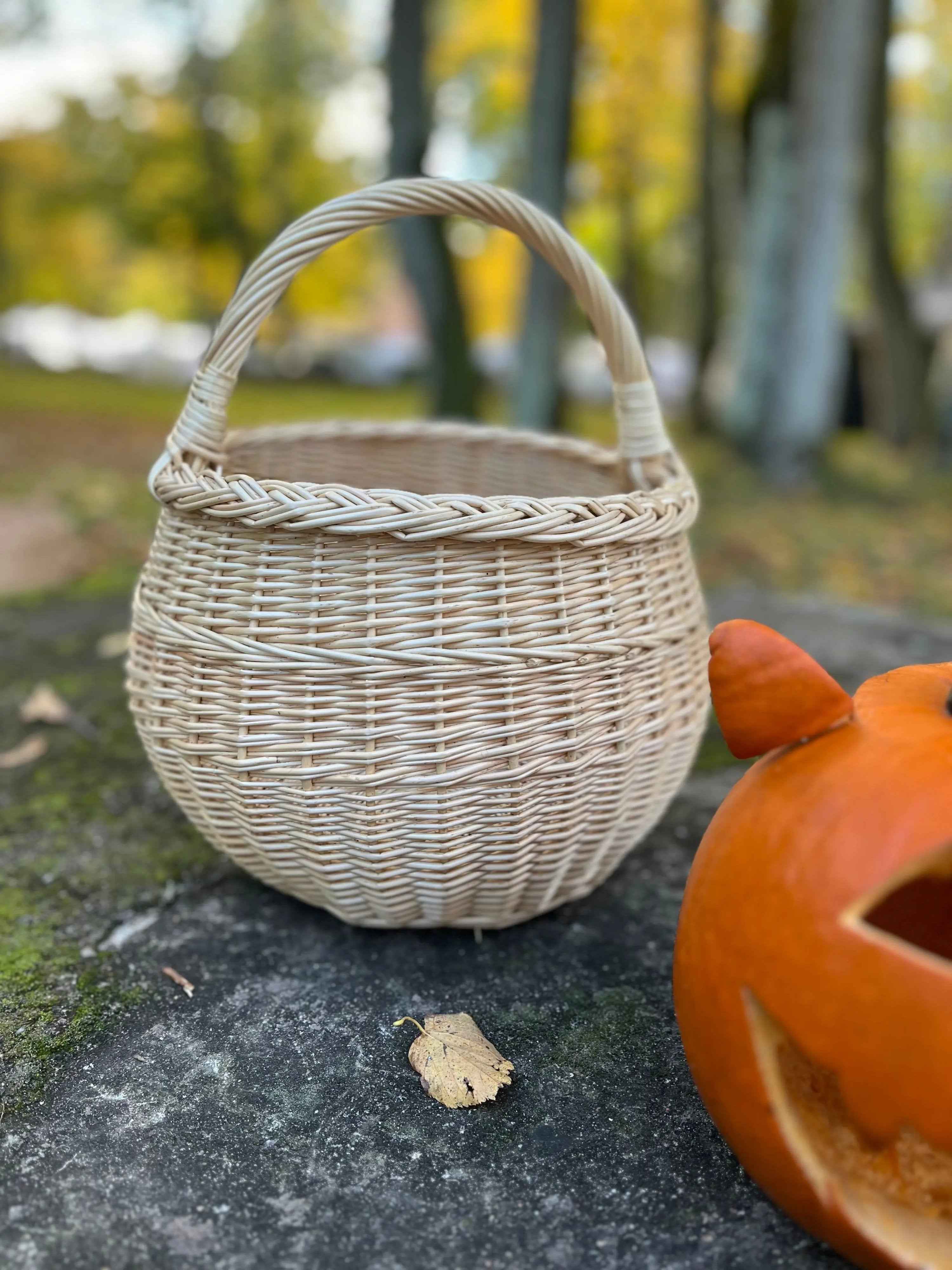 Deep Willow Berry Basket — view 14