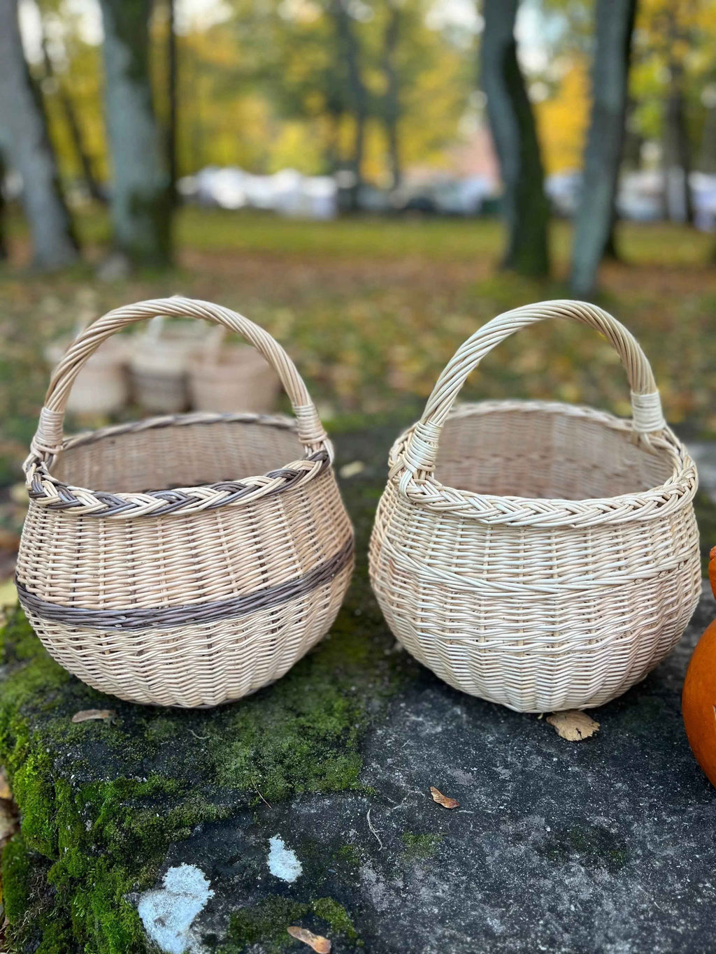 Deep Willow Berry Basket — view 15