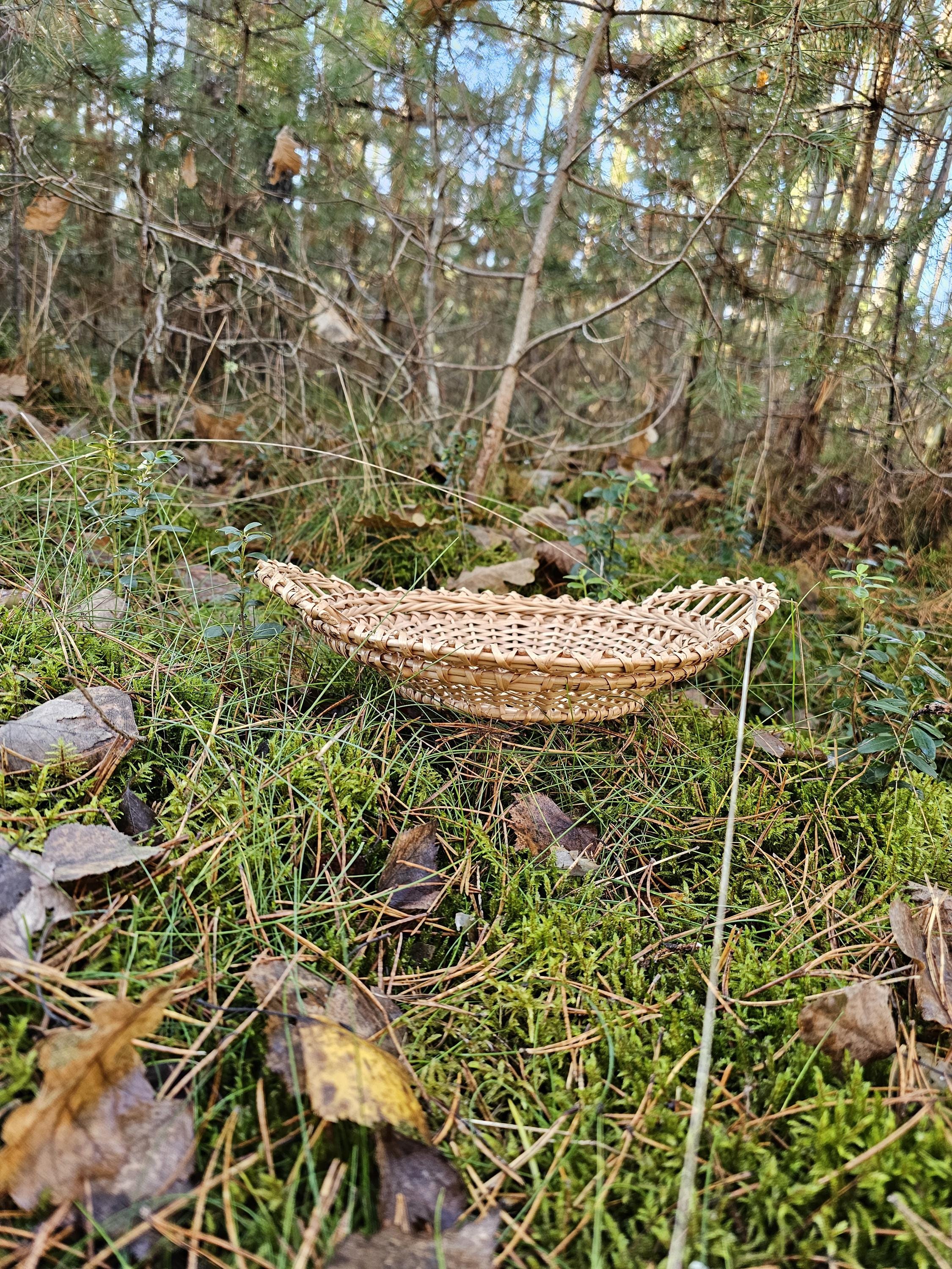 Lace-Weave Willow Tray — wicker tray, view 3