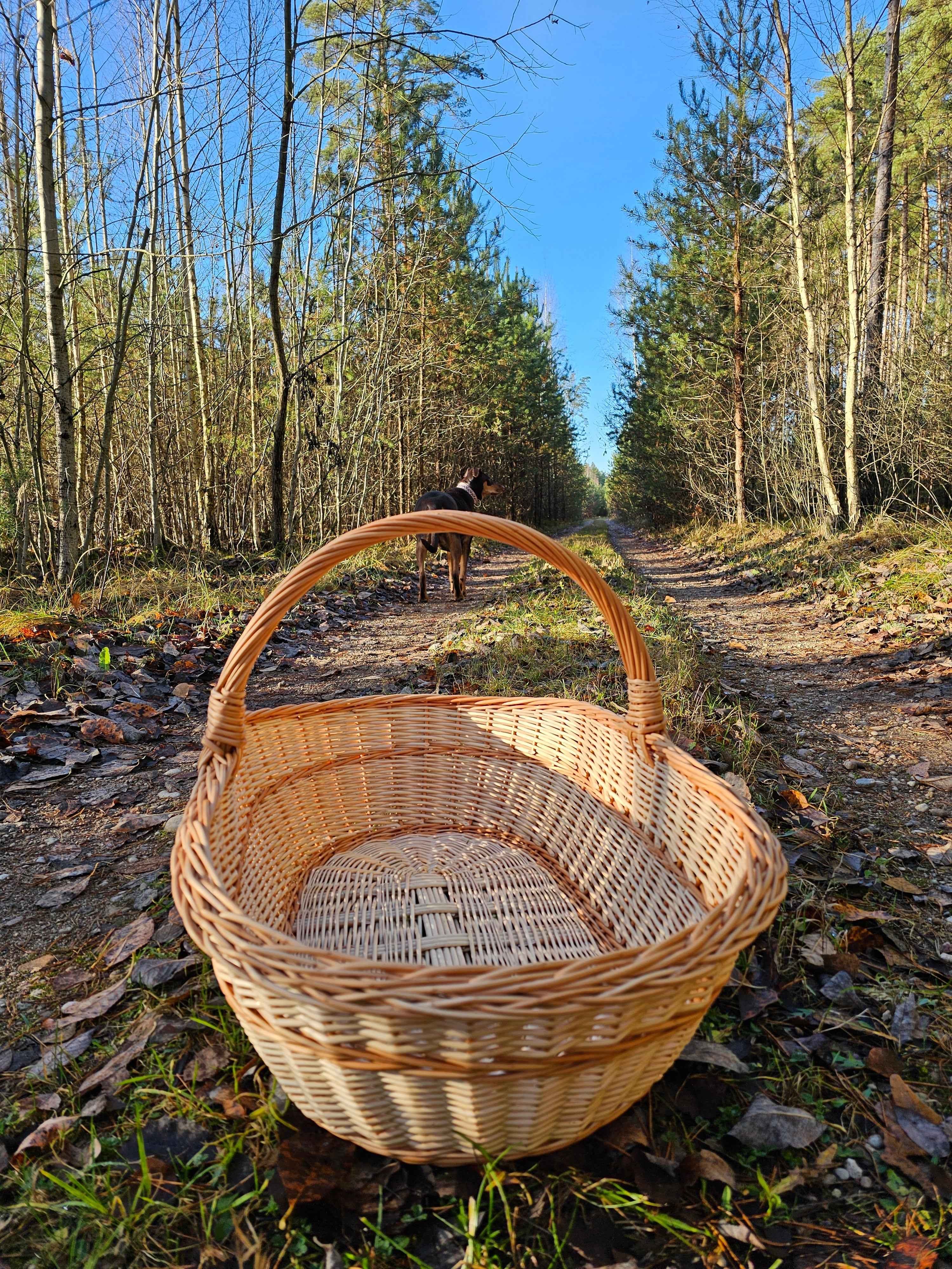Large wicker basket 004b - NaturelyWoven wicker - handmade