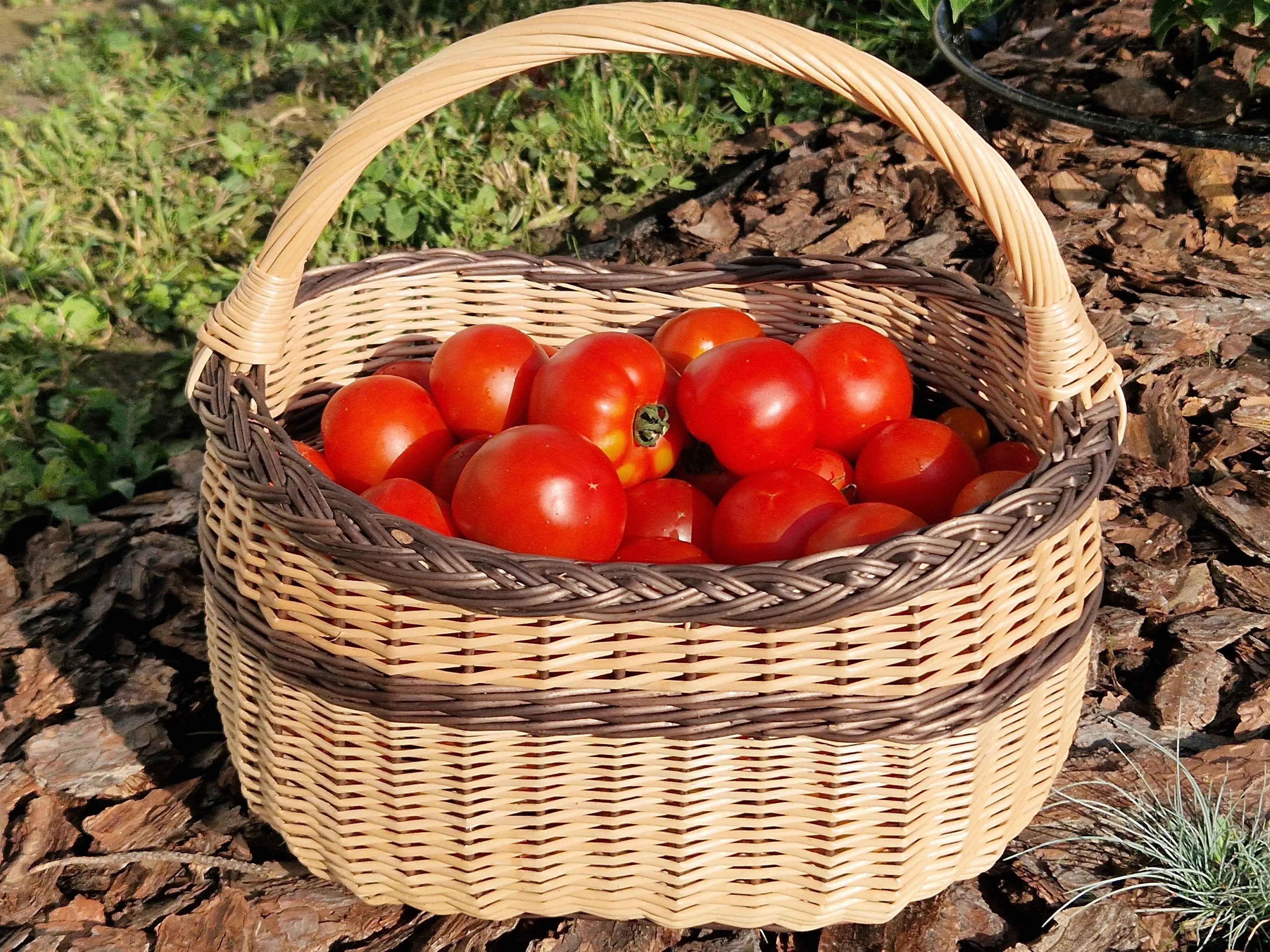 Wicker basket 018b - NaturelyWoven wicker - handmade