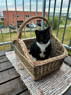 Wicker firewood basket 012b - NaturelyWoven wicker - handmade