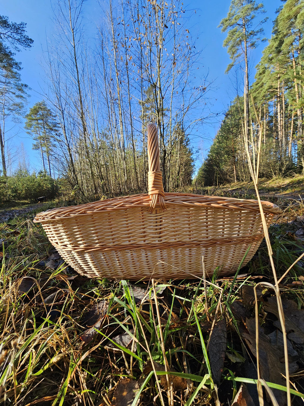 Golden Willow Firewood Trug — gold/pink