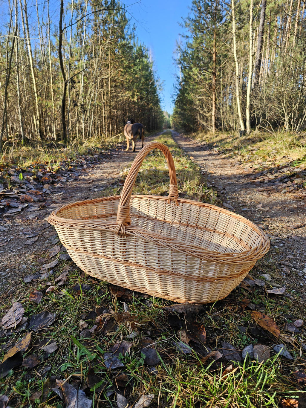 Rose-Rim Willow Trug — gold/pink