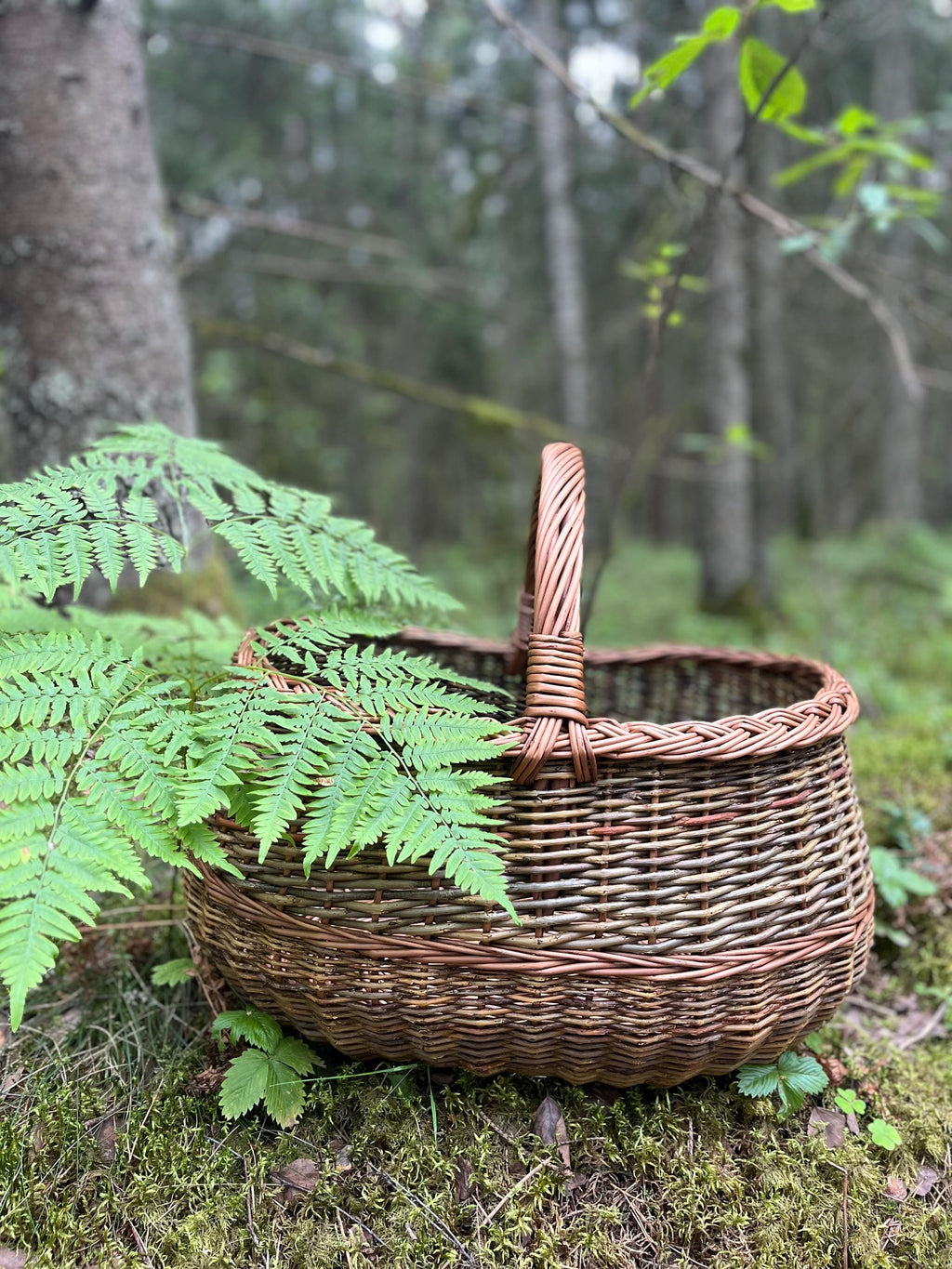 Round Willow Harvest Basket — unpeeled/brown