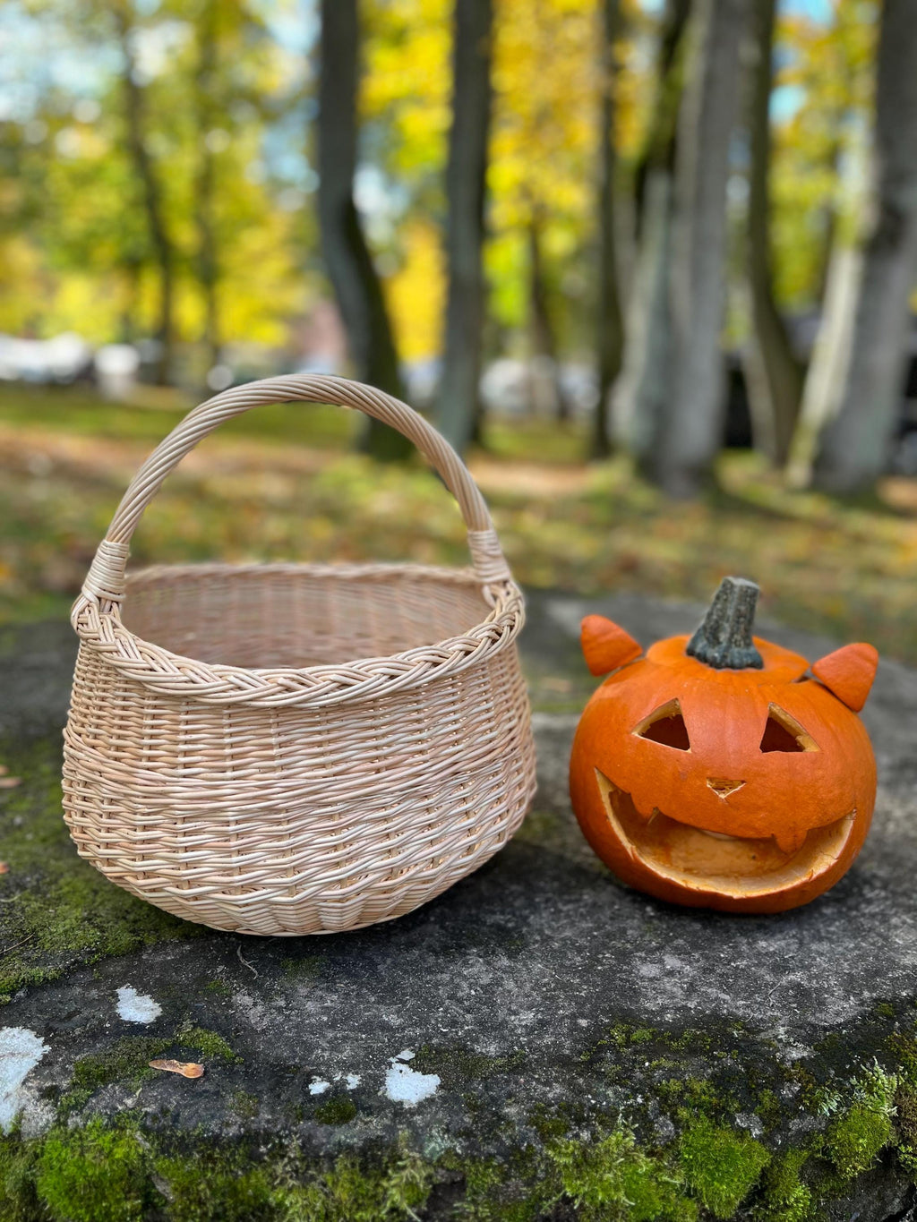 Round Willow Mushroom Basket — gold