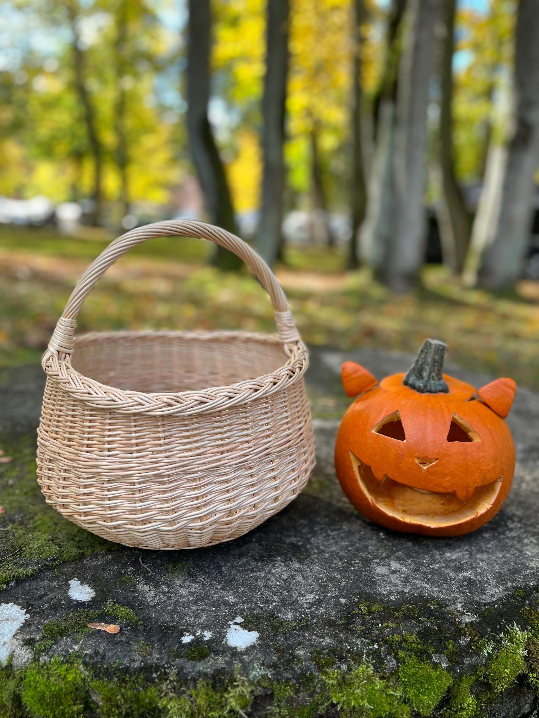 Round Willow Mushroom Basket — gold