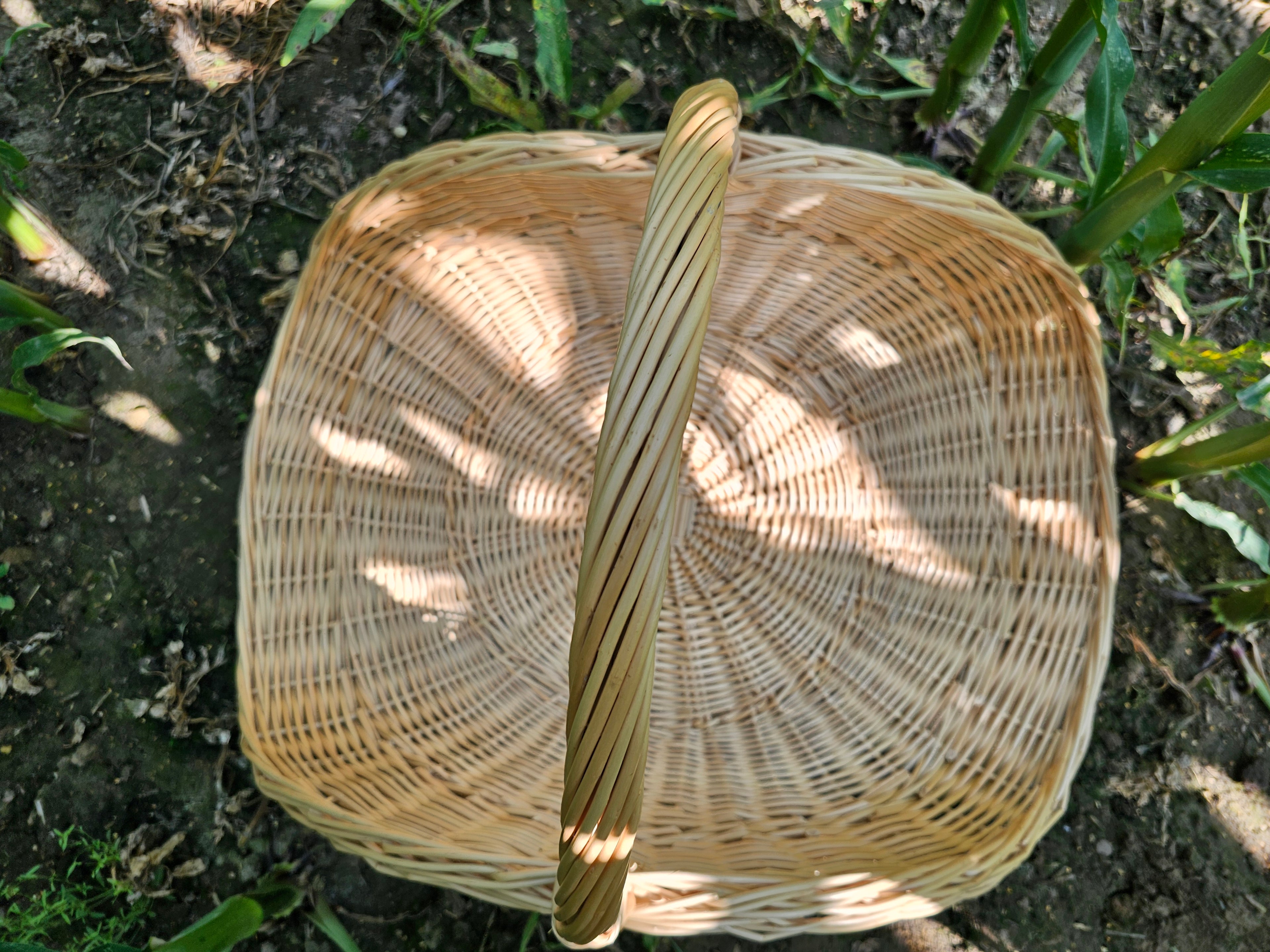 Large Wicker Flower Basket — flower basket, view 4