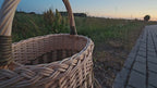 Wicker basket 015b