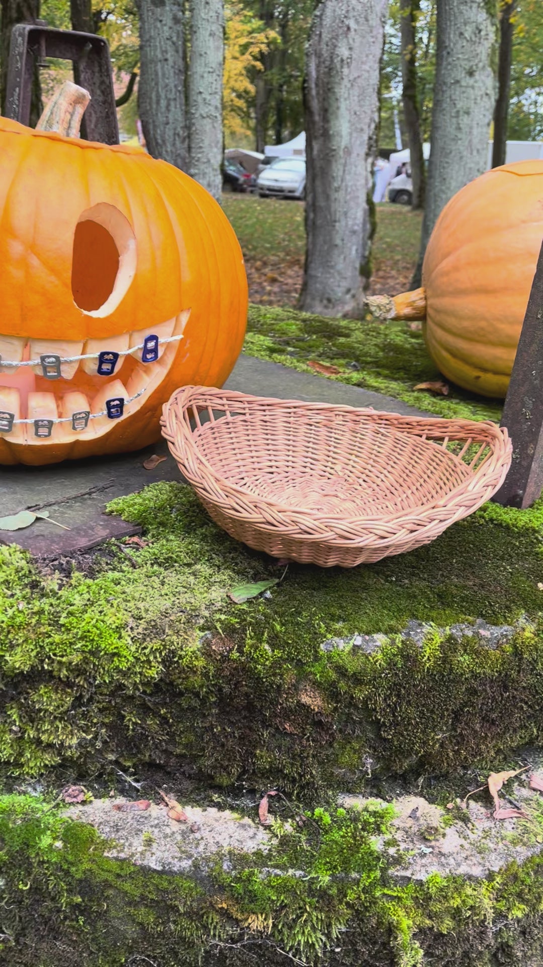 Wicker tray 043b