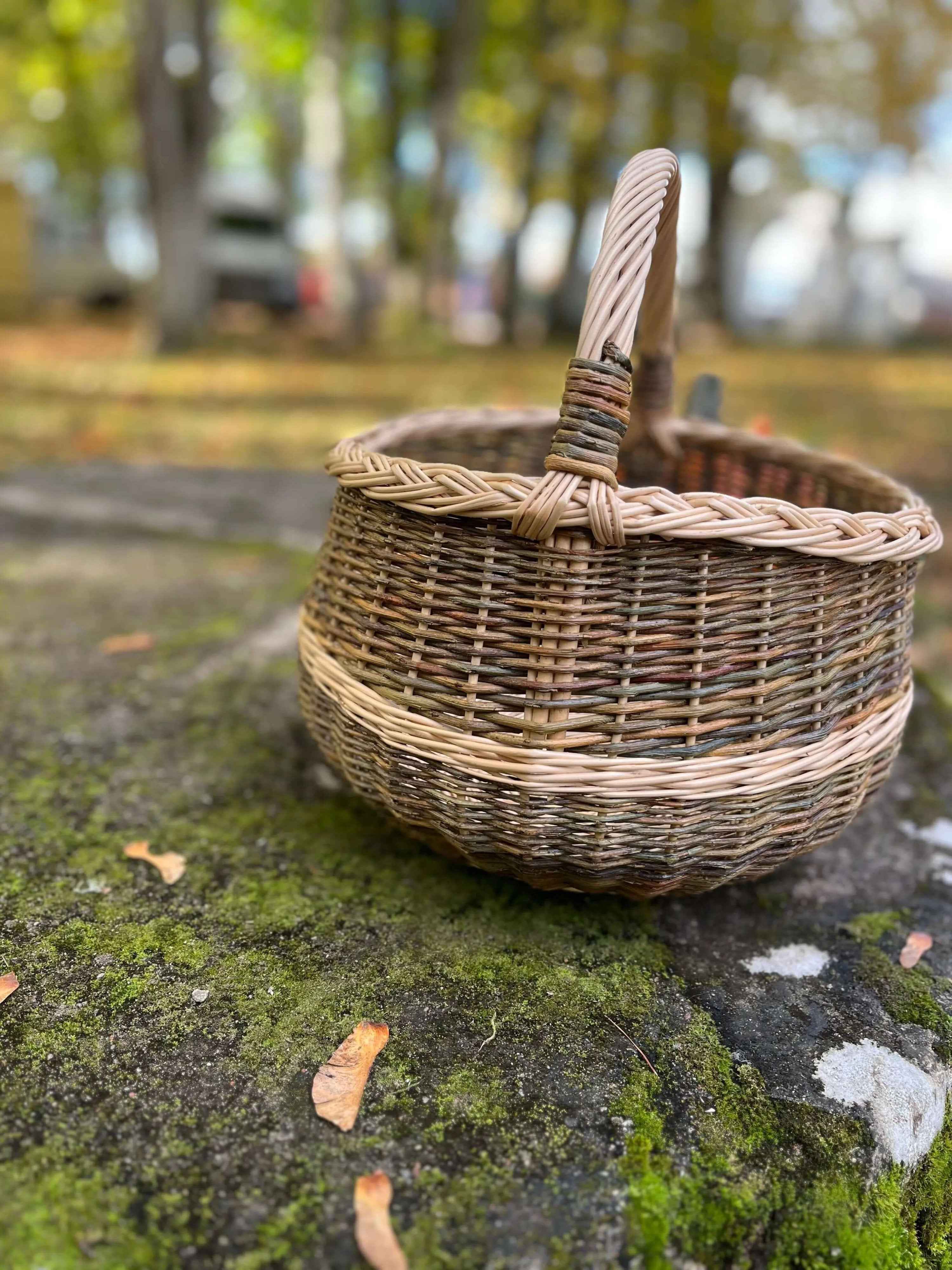 Wicker basket 006b - NaturelyWoven wicker - handmade