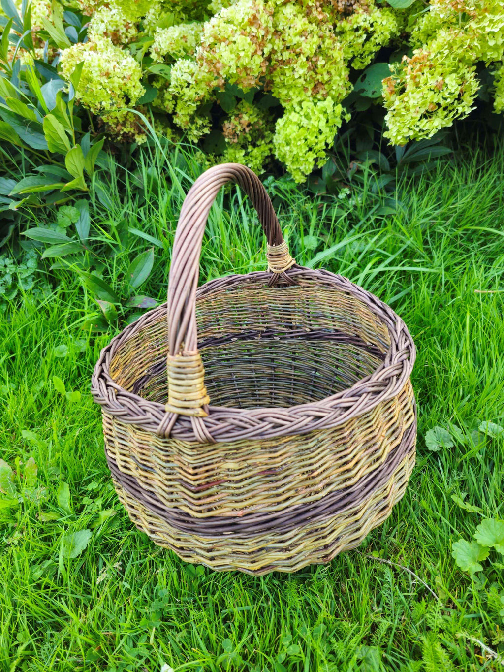 Willow Foraging Basket — base of the weave