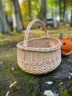 Willow Foraging Basket — seen from above