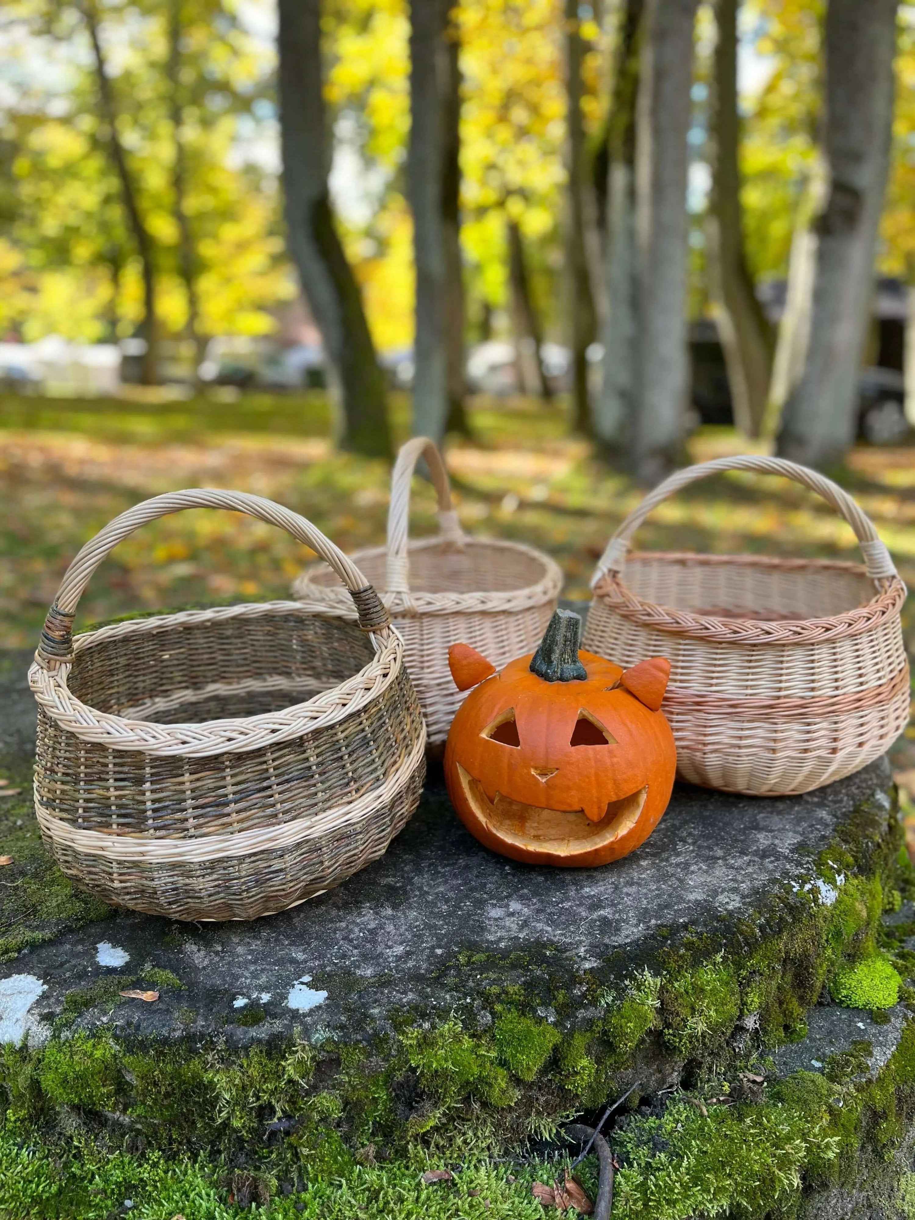 Wicker basket 006b - NaturelyWoven wicker - handmade