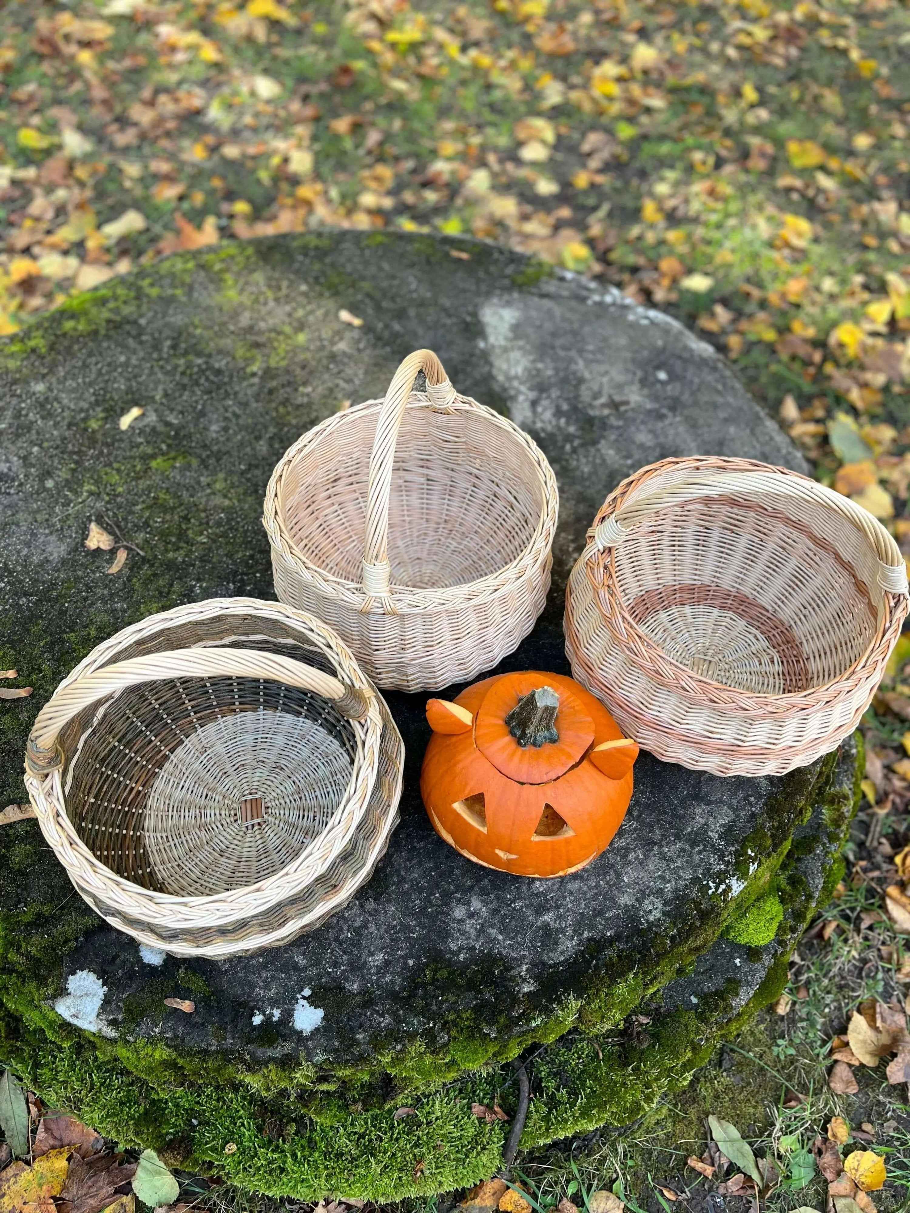 Willow Foraging Basket — shown in natural light