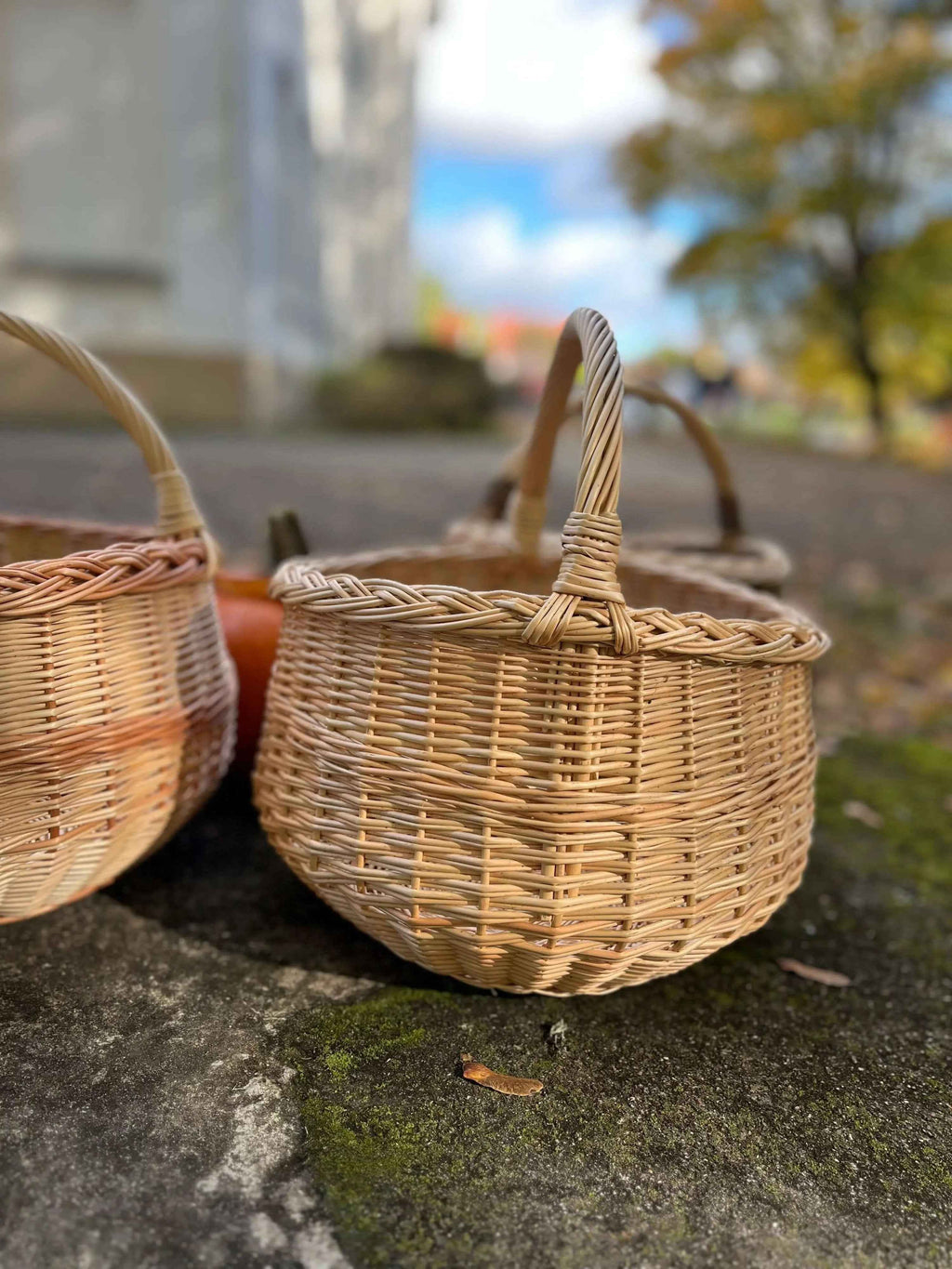 Willow Foraging Basket — view 10