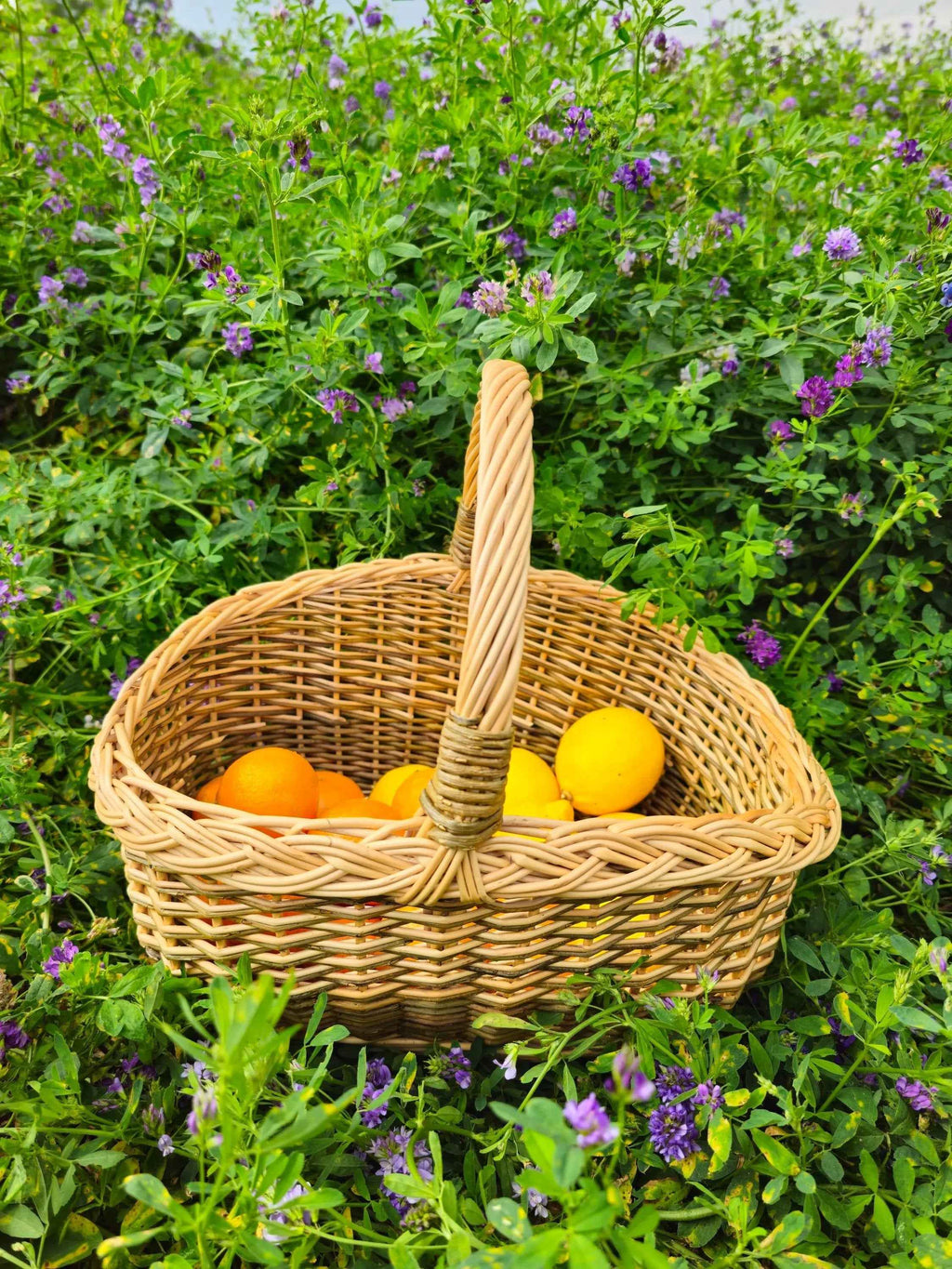 Small Wicker Fruit Basket — wicker basket, view 10