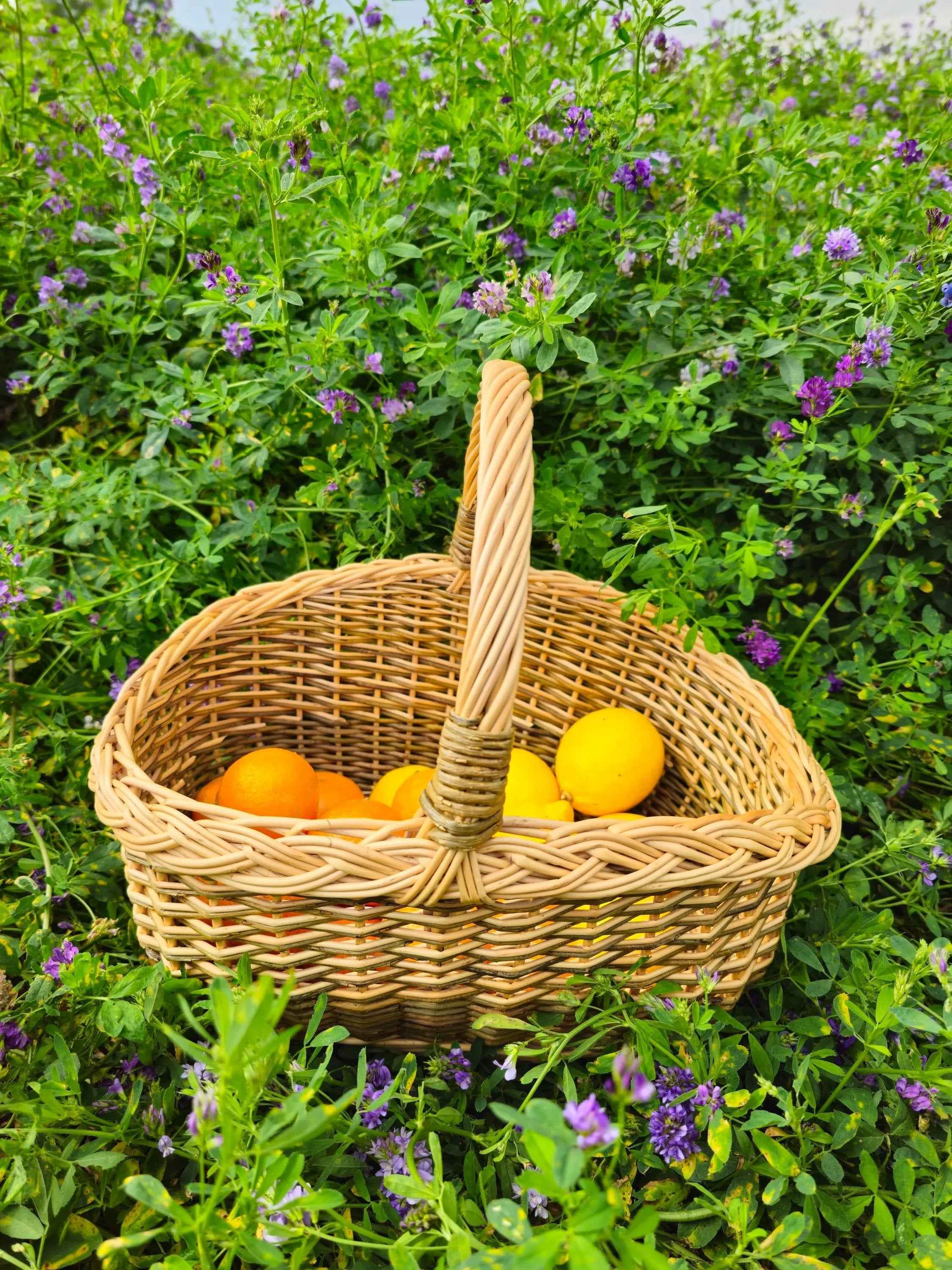 Small Wicker Fruit Basket — wicker basket, view 10