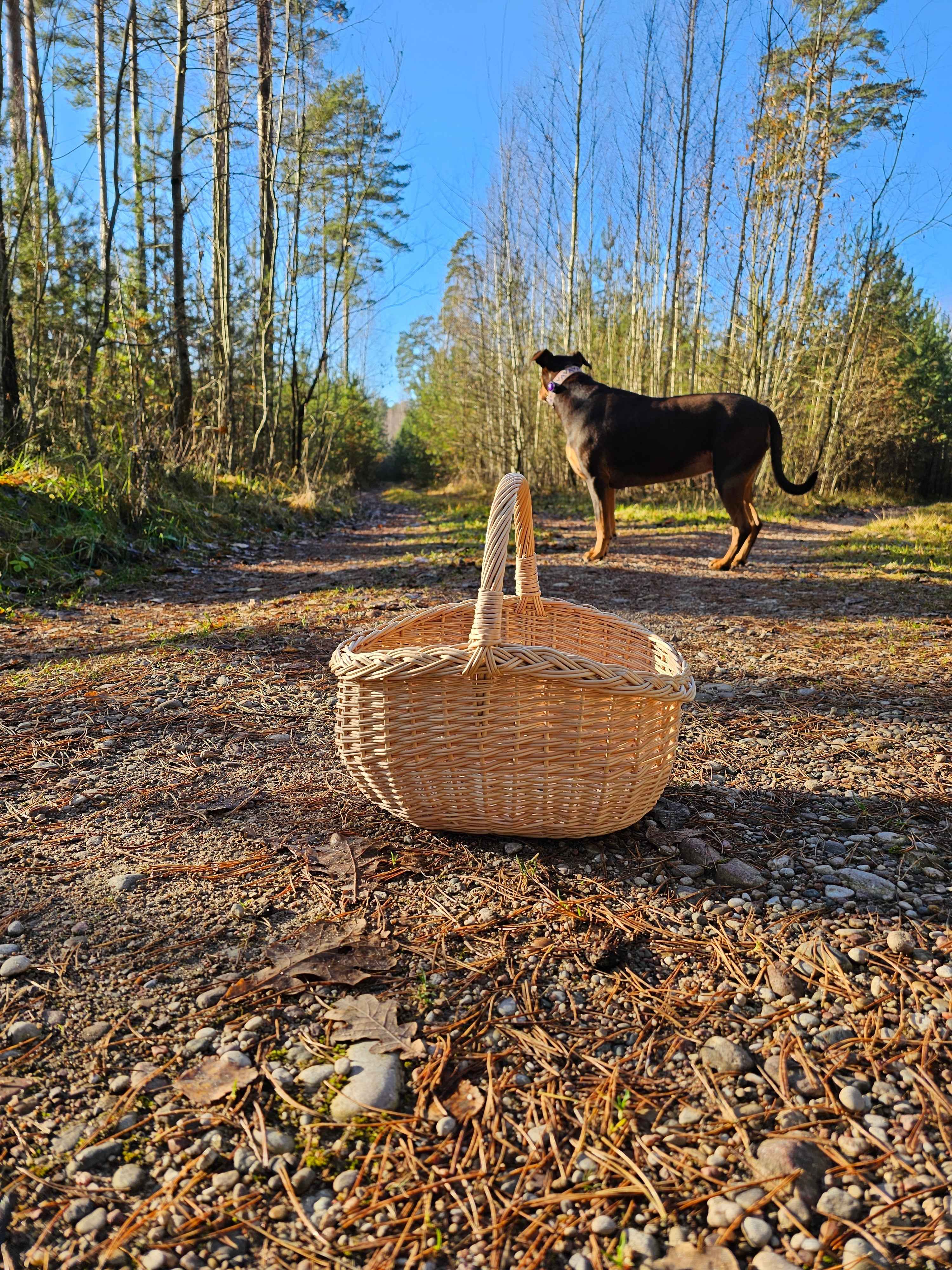 Small Wicker Fruit Basket — wicker basket, view 13