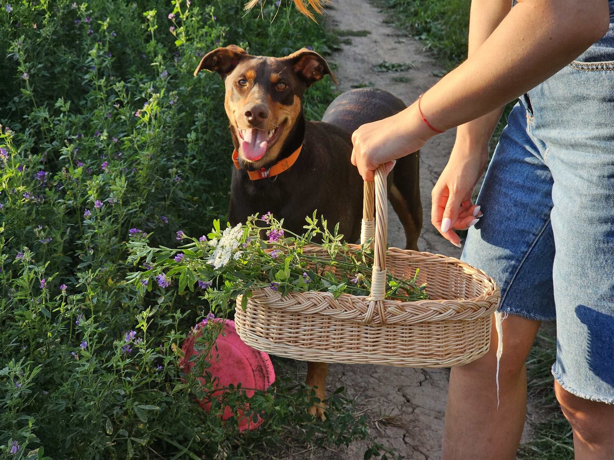 Wicker gathering trug — wicker basket, view 4