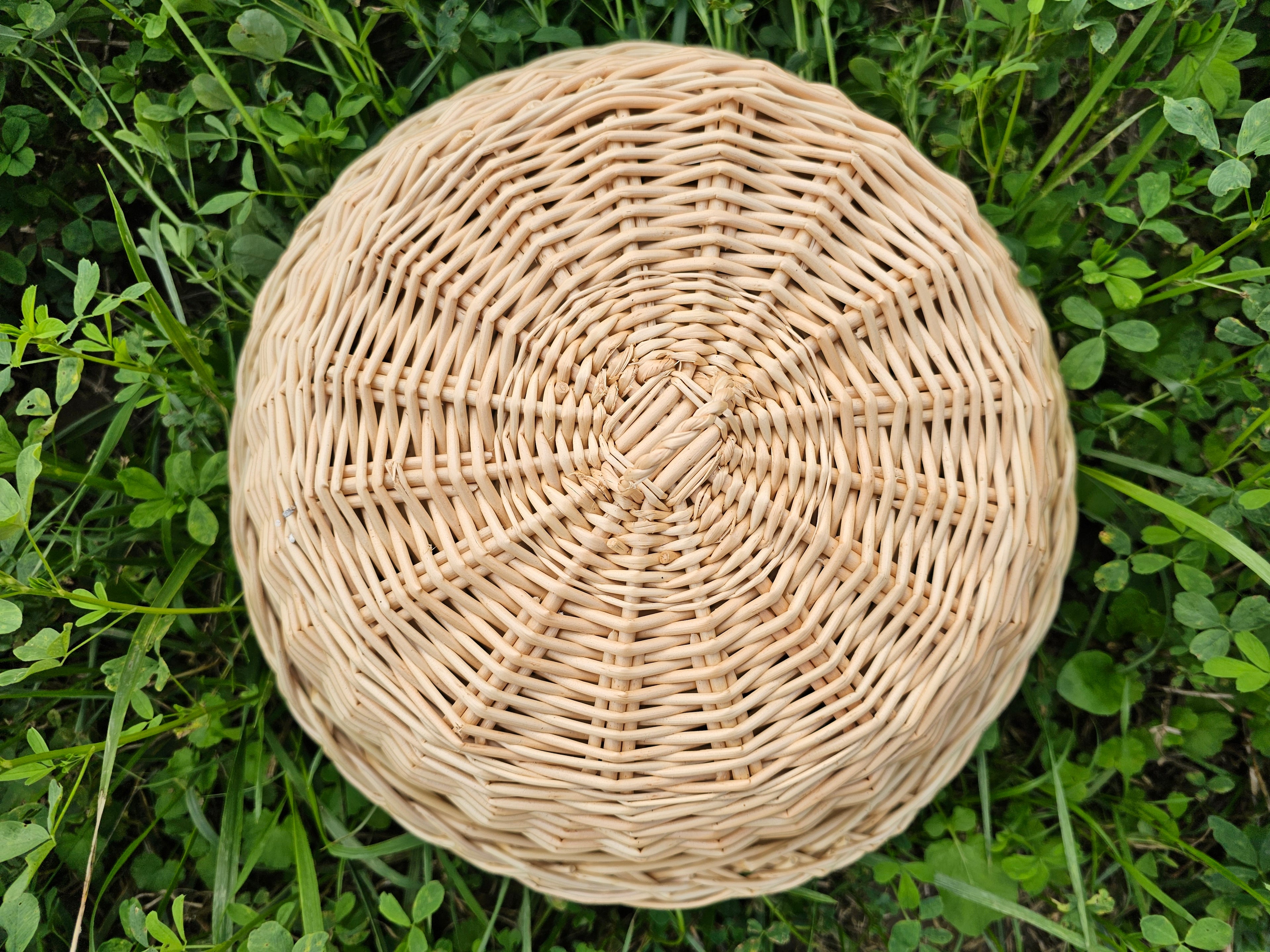 Wicker Food Cloche — food cover, view 2