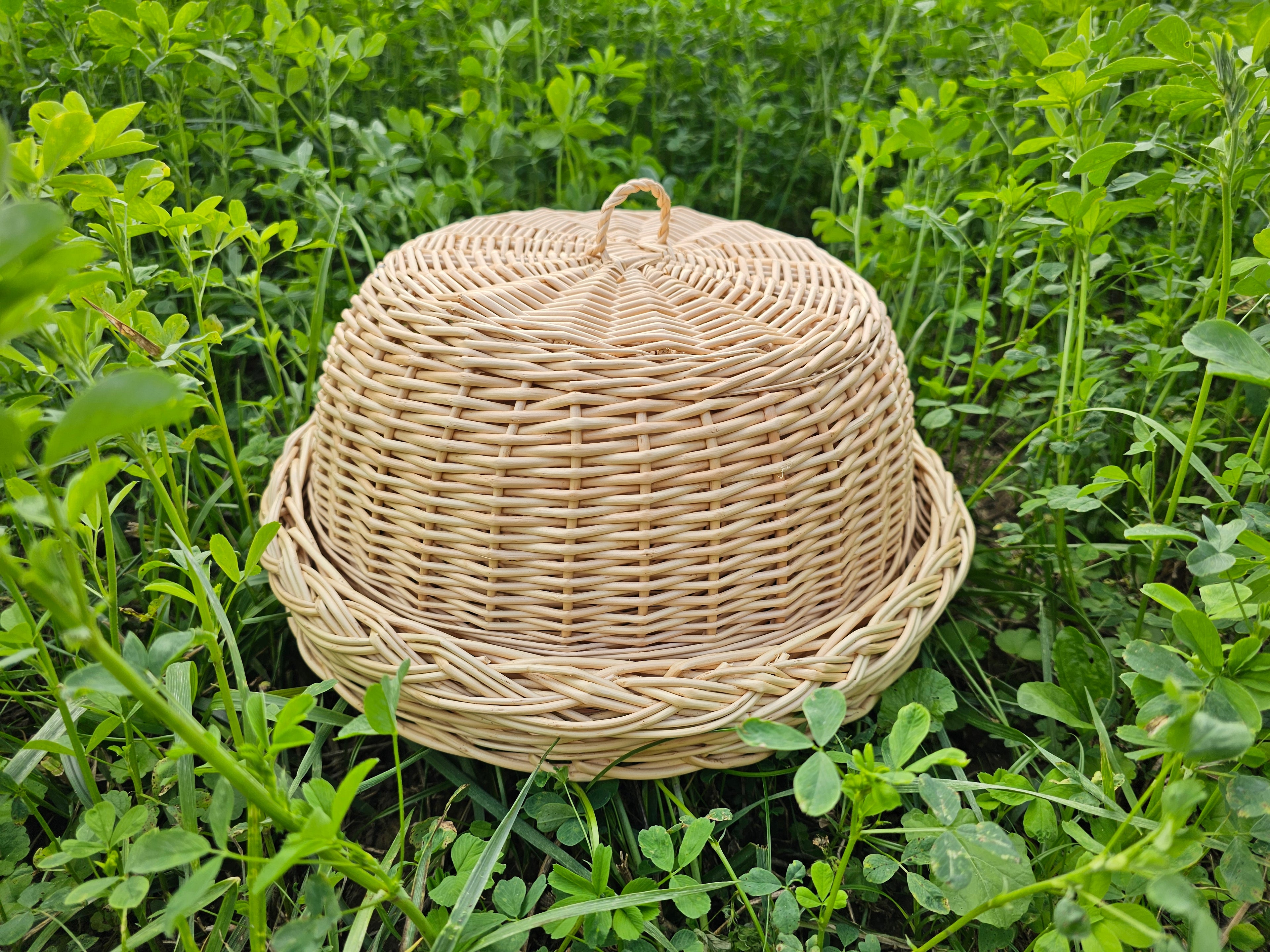Wicker Food Cloche — food cover, view 5