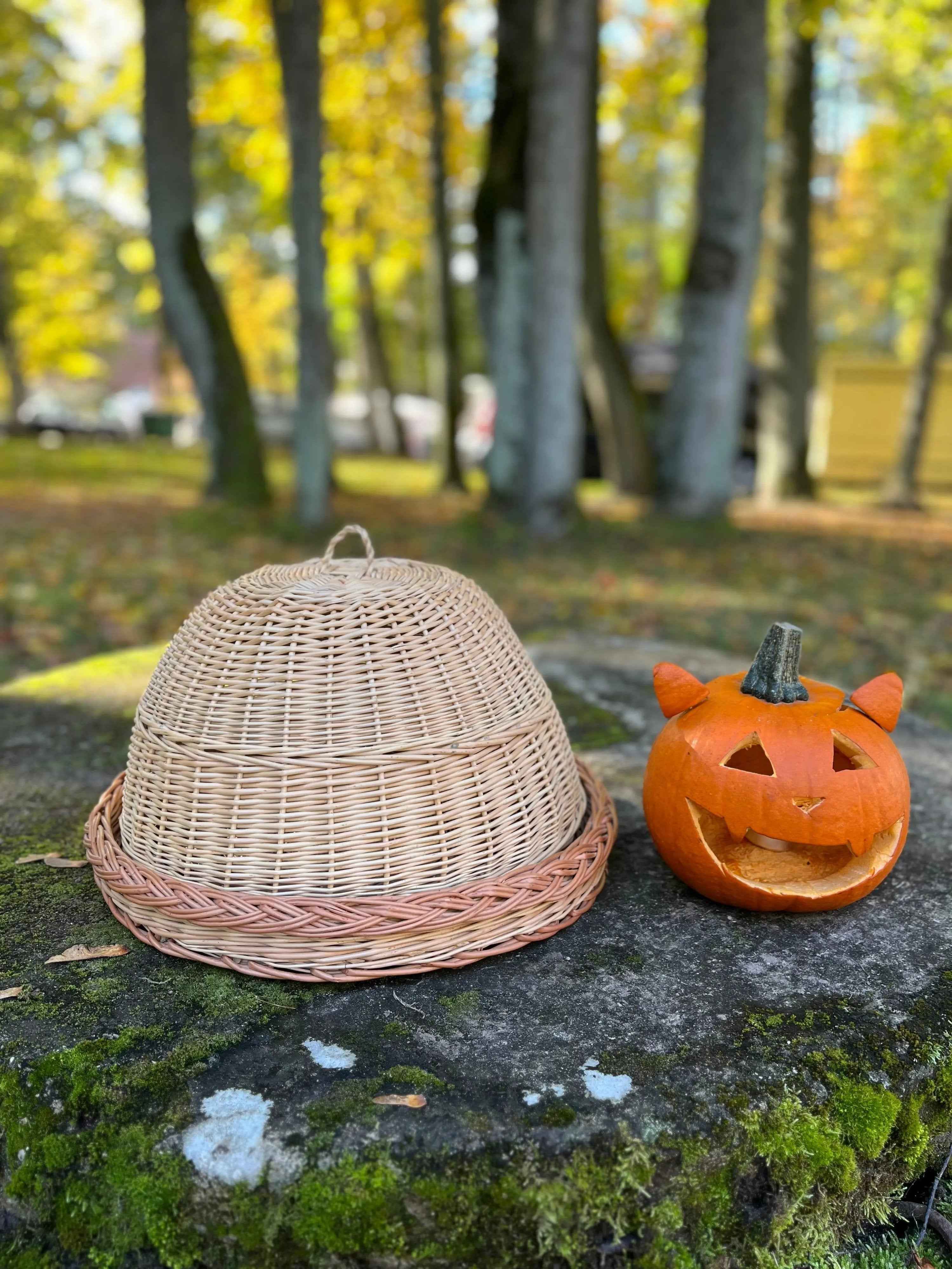 Wicker Food Cover Set in Gold/Pink — handmade food cover