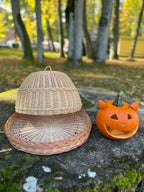 Wicker Food Cover Set — food cover, view 7