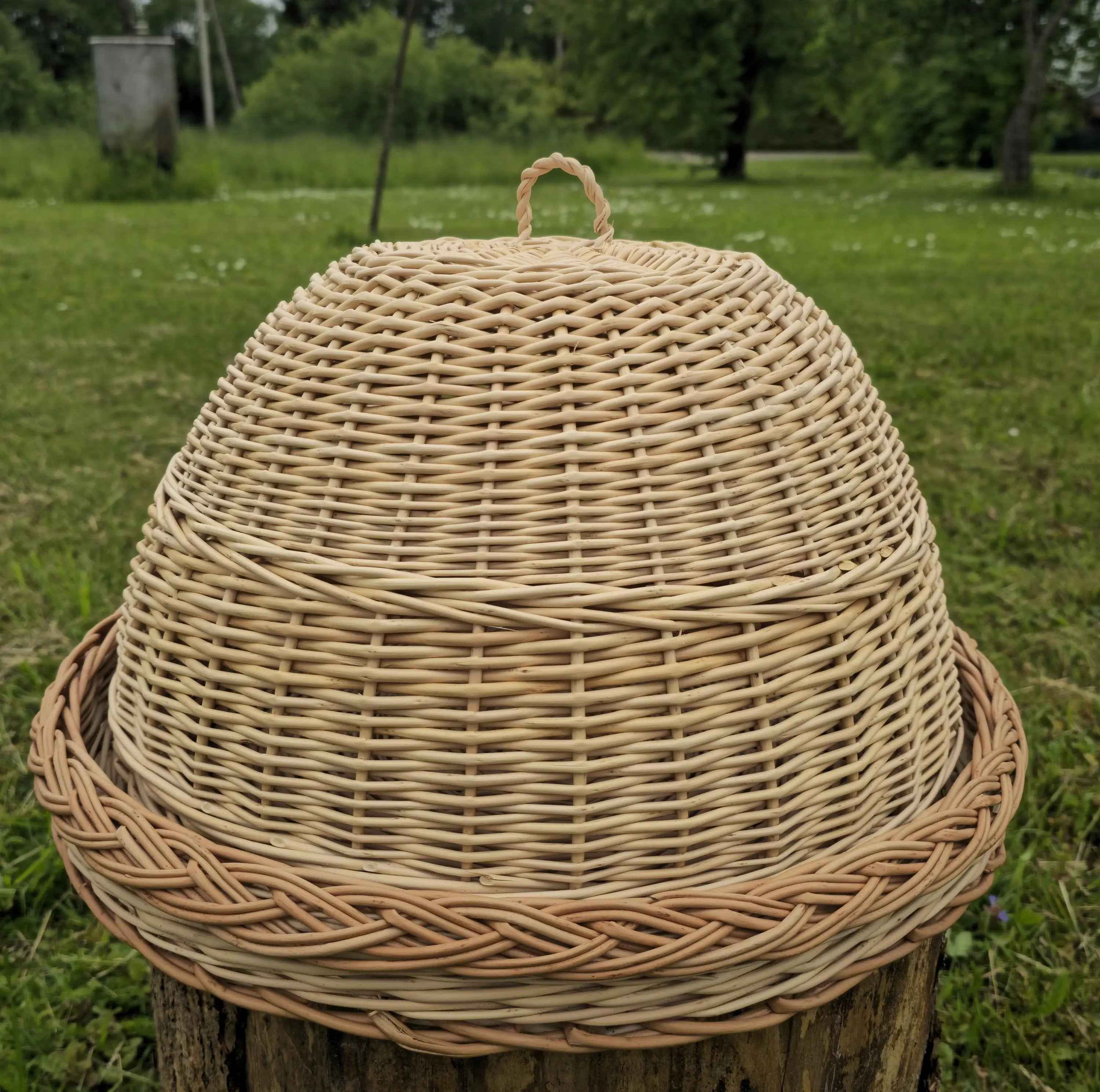 Wicker Food Cover Set — food cover, view 9