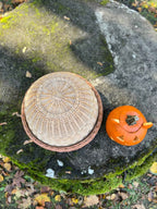 Wicker Food Cover Set — food cover, view 11